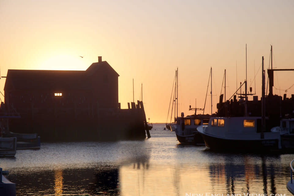 
        <div class='title'>
          Motif 1 Rockport Harbor Summer Solstice Sunrise bjfyco
        </div>
       