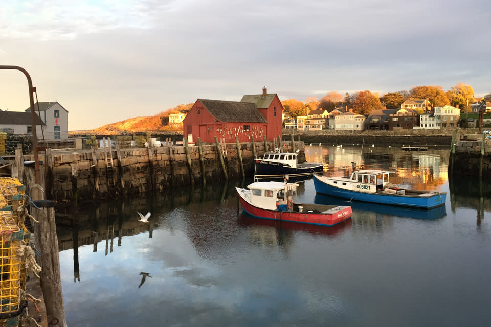 
        <div class='title'>
          Rockport Harbor Motif  1 Gull Lobster Boats Headlands vmf5pk
        </div>
       