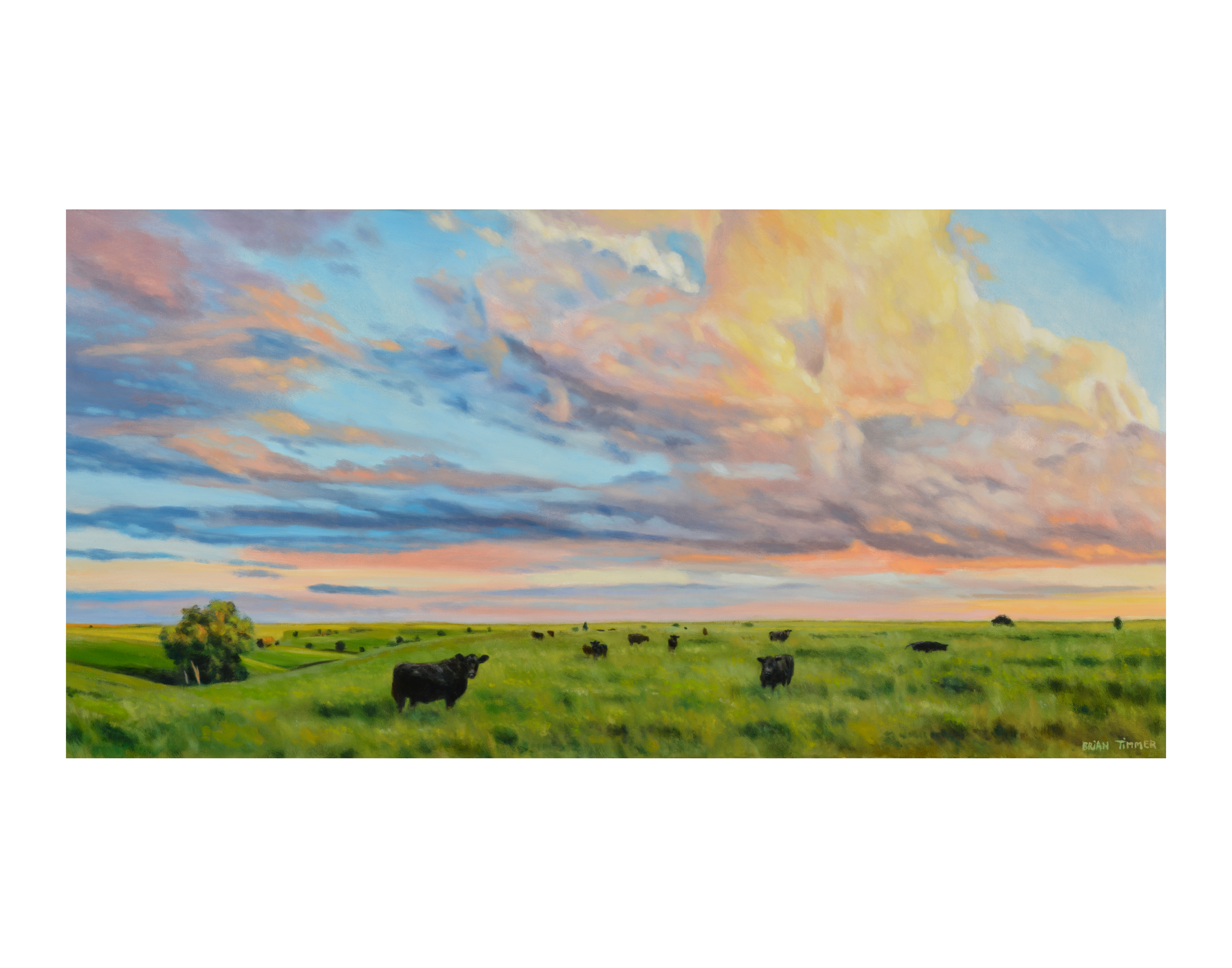 Flint hills evening 11x14 lsnswn