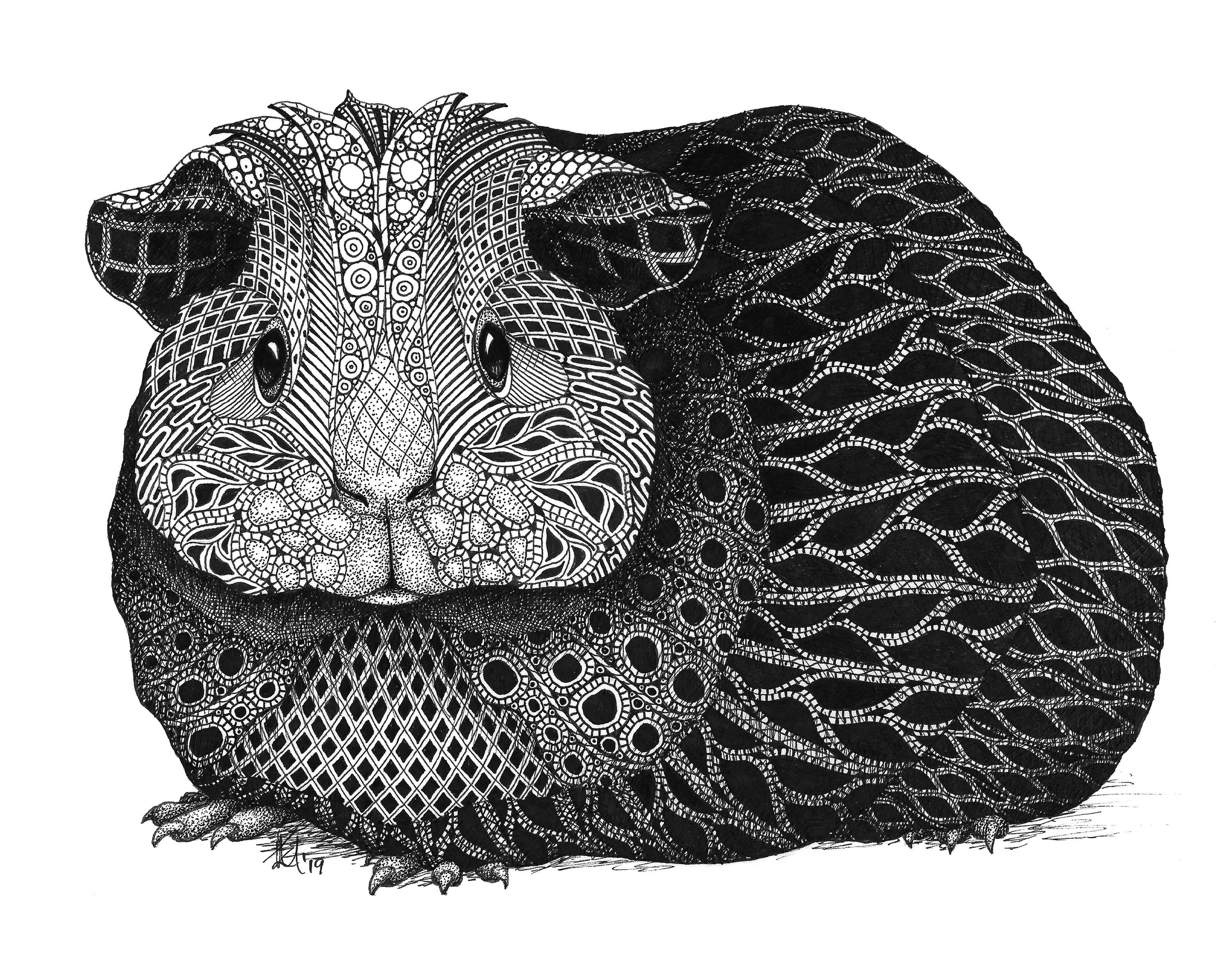 Guinea pig paper prints m24311