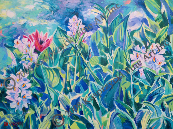 Water hyacinths gic wc m8i3iu