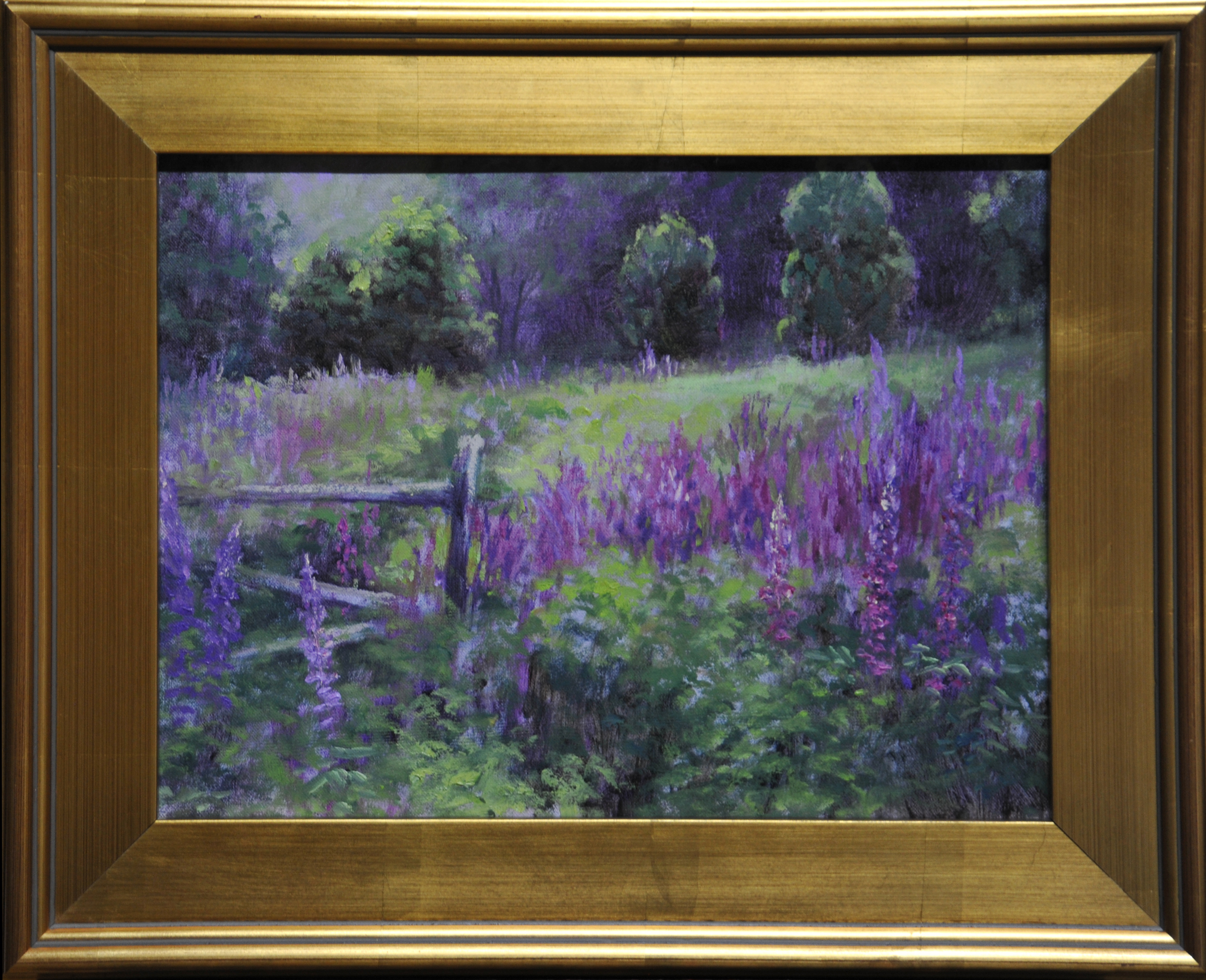 Lupine fields framed zrx6ur