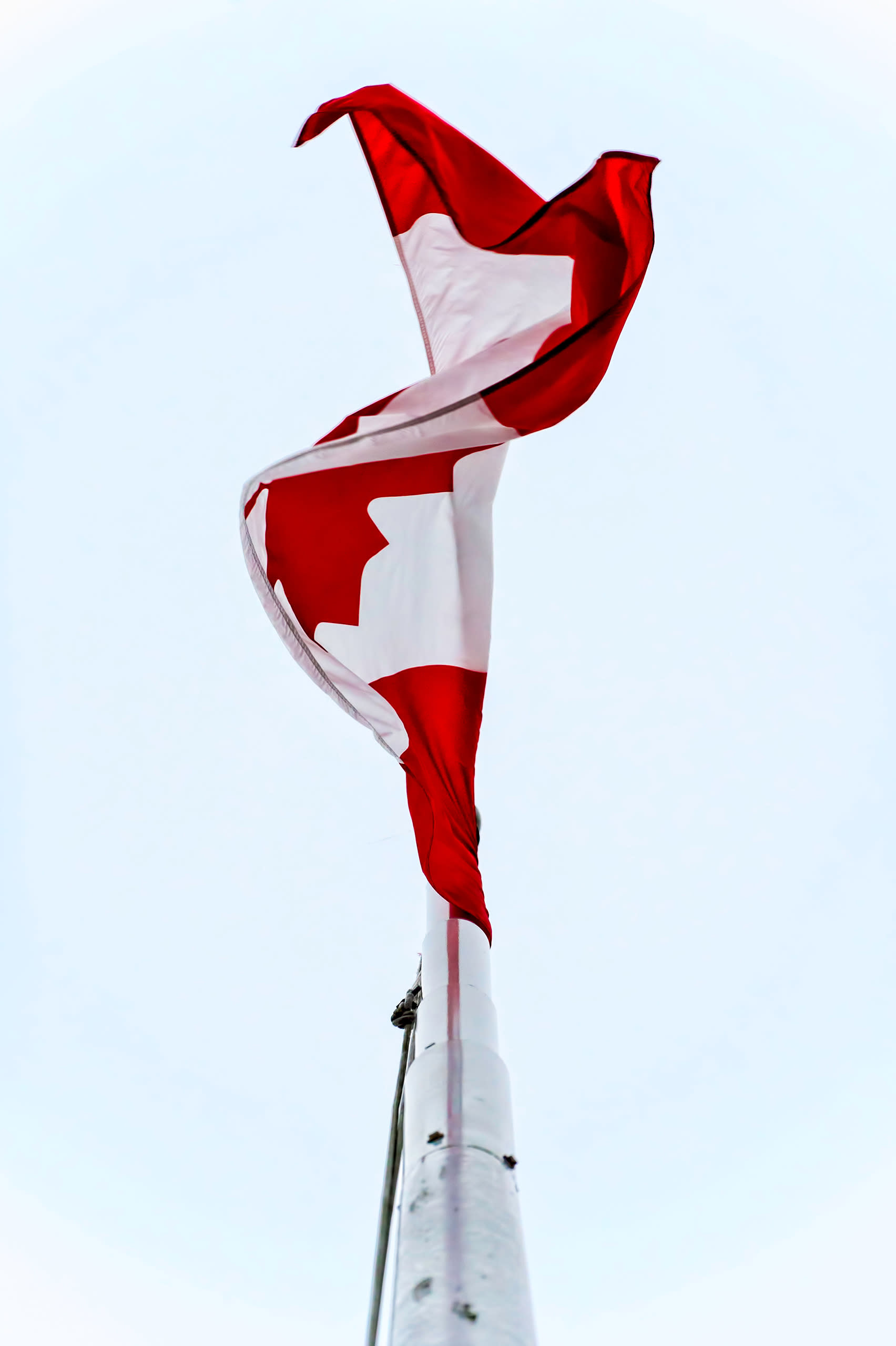 82 projects charles pachter yvt7kf