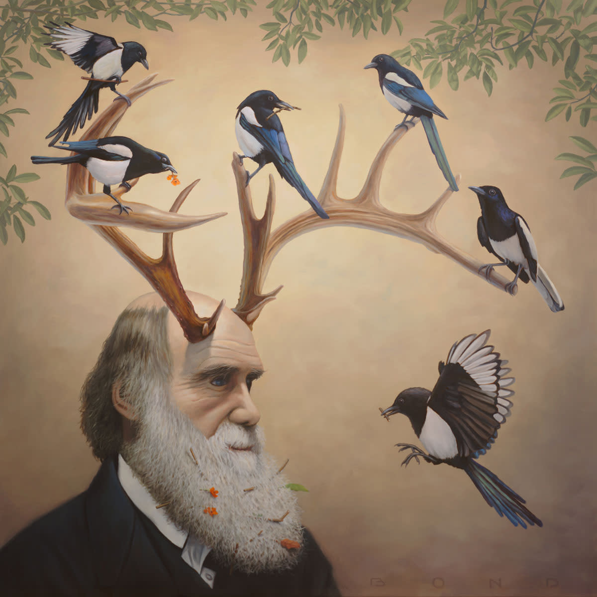 A bemused charles darwin adorned by six magpies oyqki8