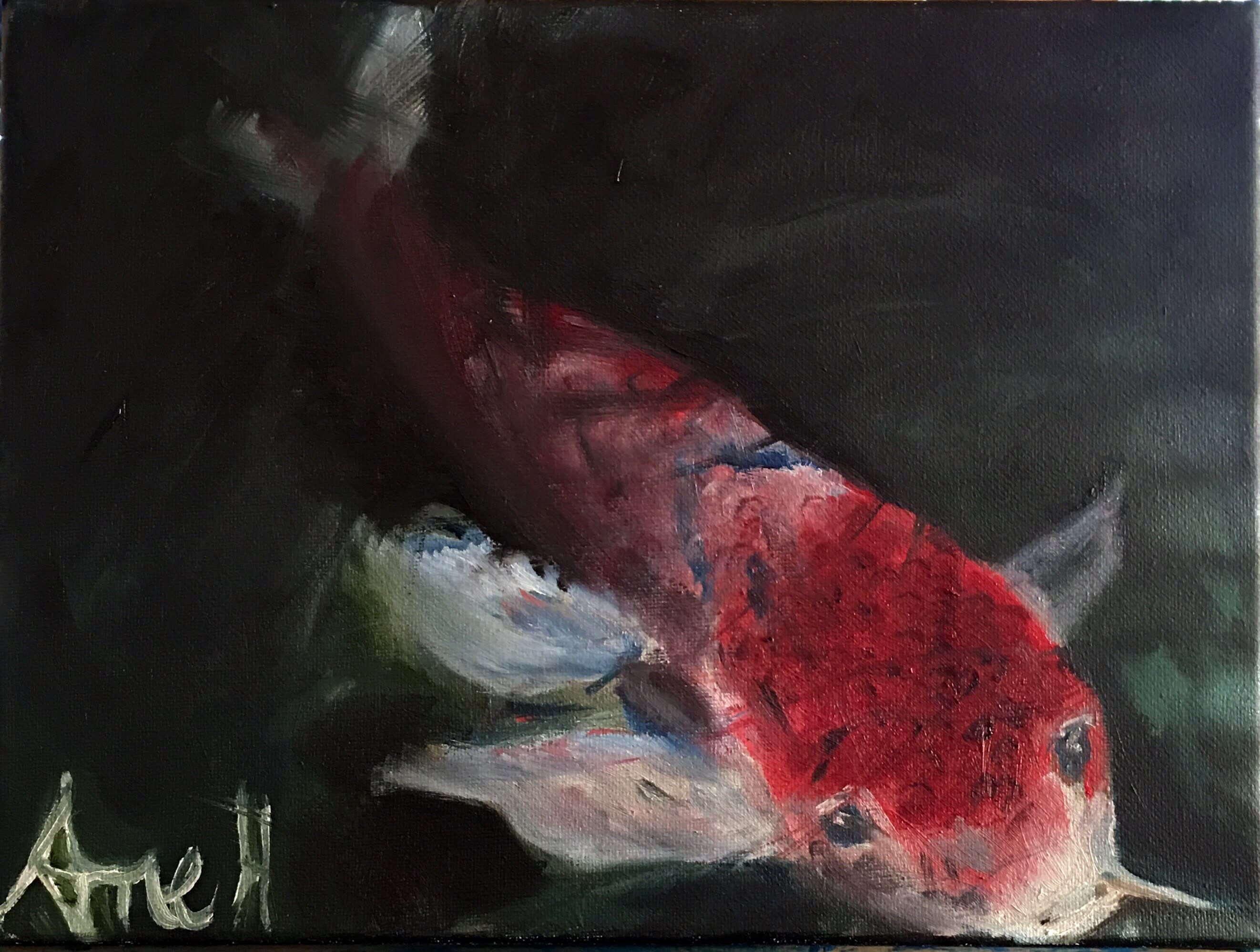 Lolakoi ovpixj
