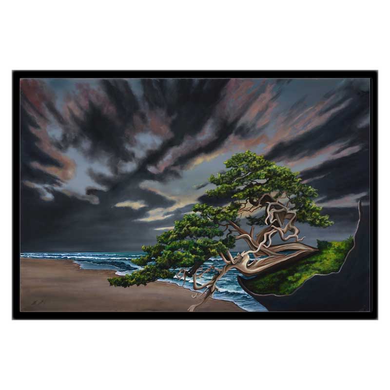 20x30 cgw black frame bonsai beach x5w2v7