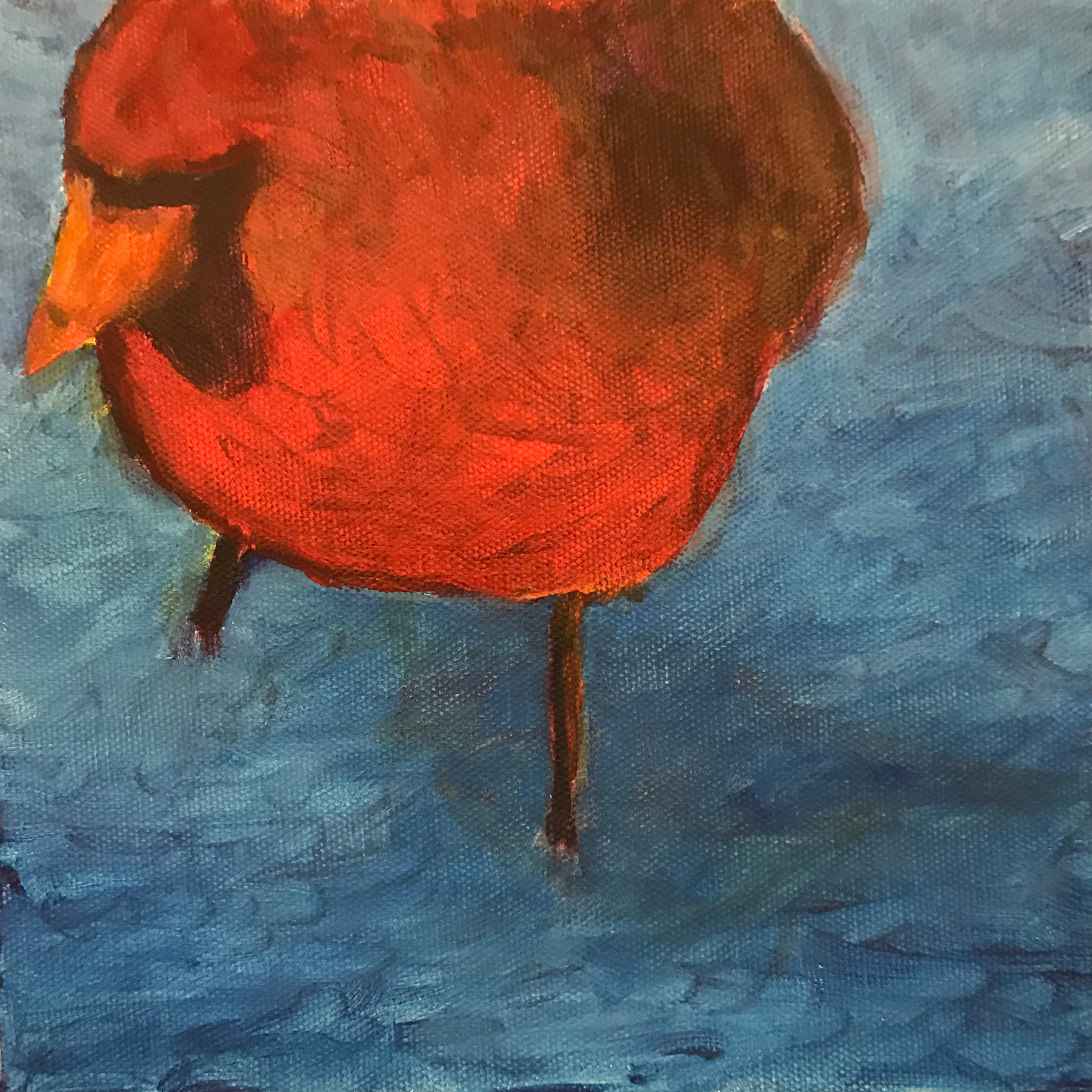 Cardinal Columbia From The Conclave 8 And 1 Cardinals Art