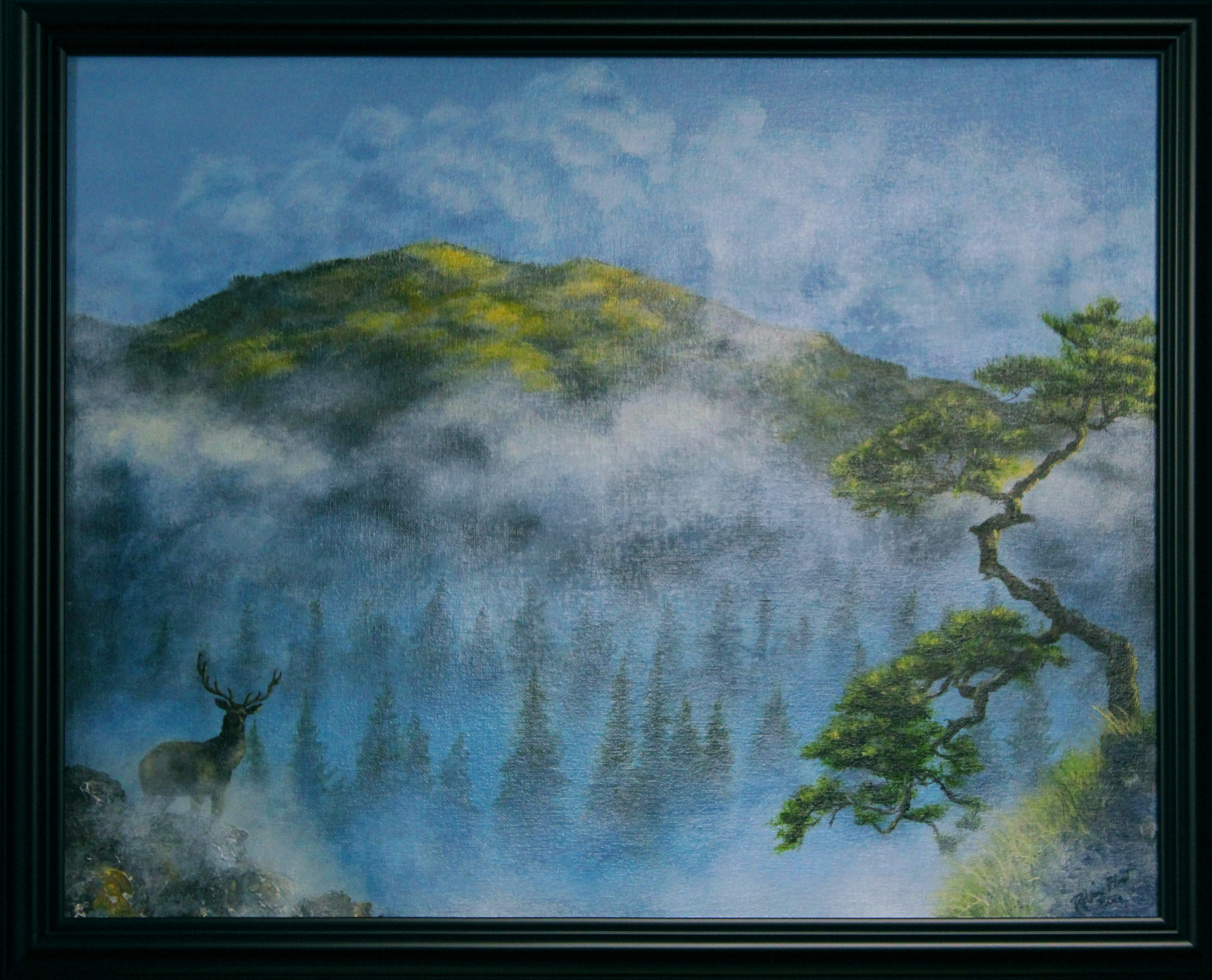 Mistyhills framed x70xei