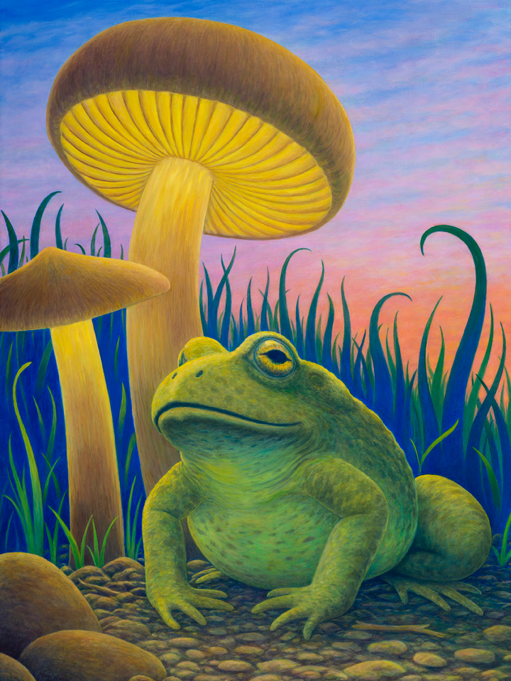 Magic toad giclee kabkvk