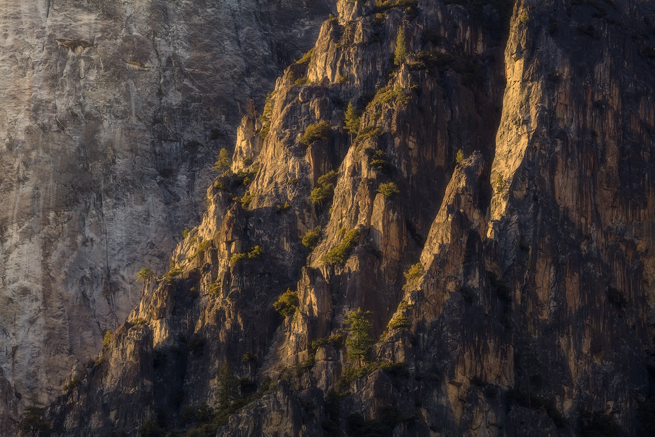 Granite cliffs in Yosemite National Park glow in the late afternoon