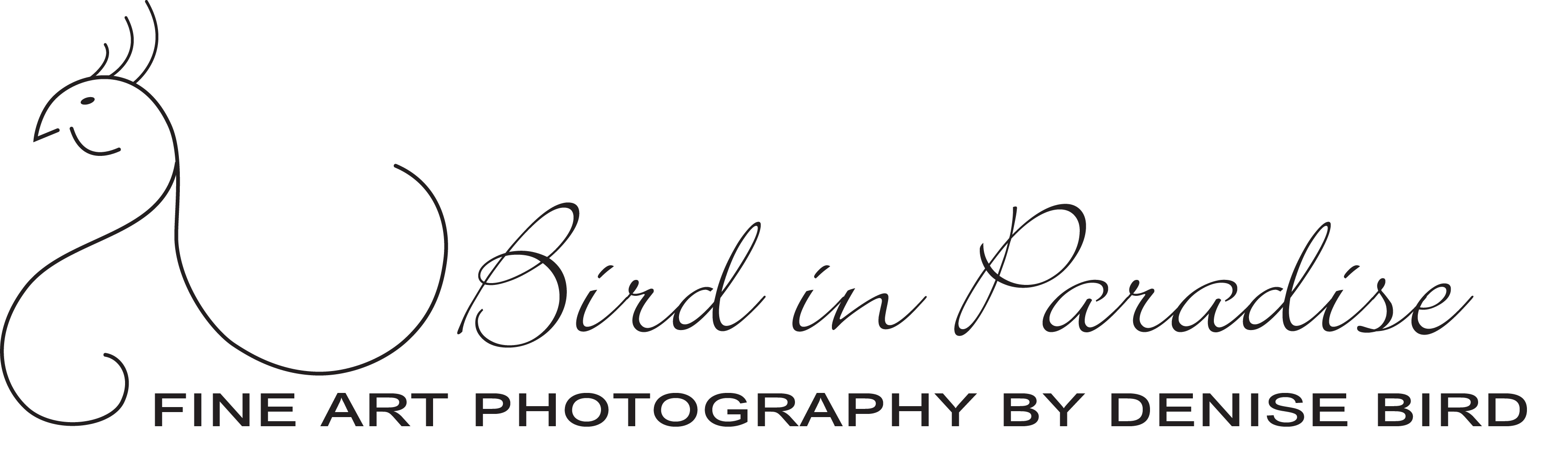 Denise Bird In Paradise