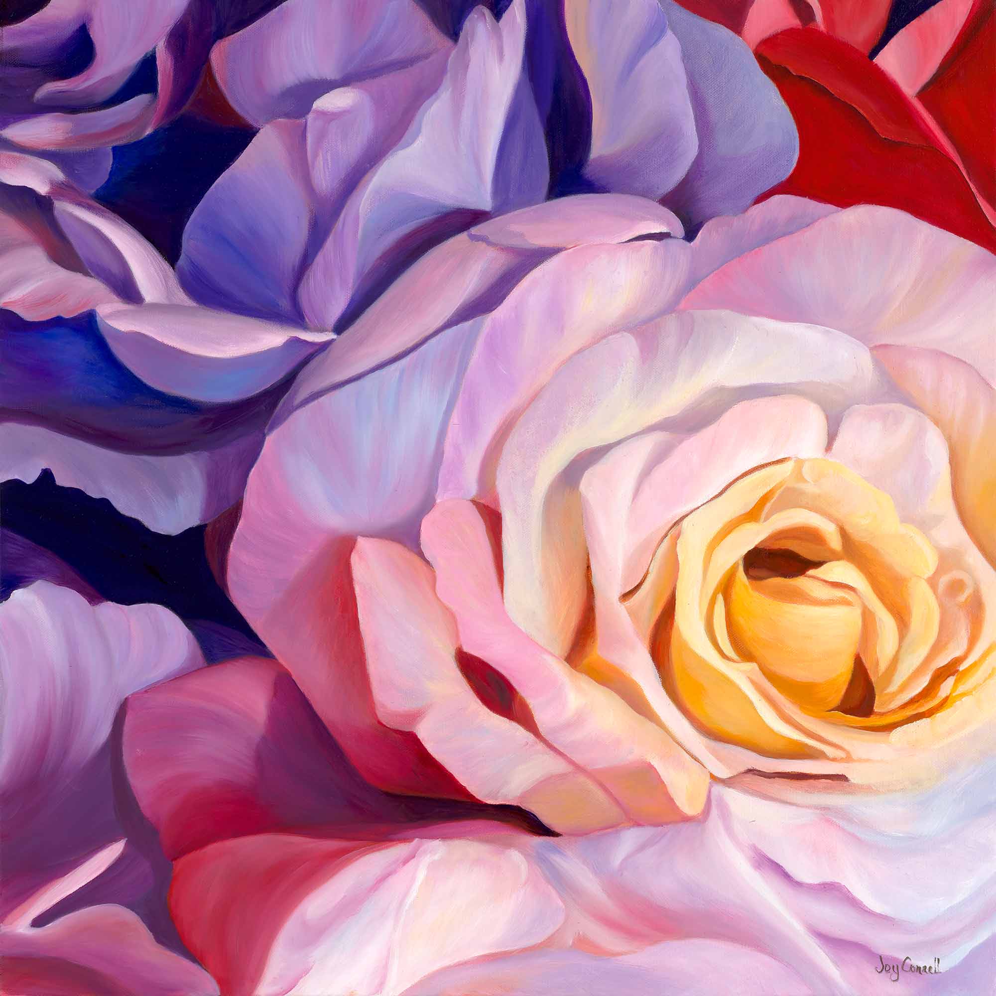 J connell 021 rhapsody 2000px yafulb