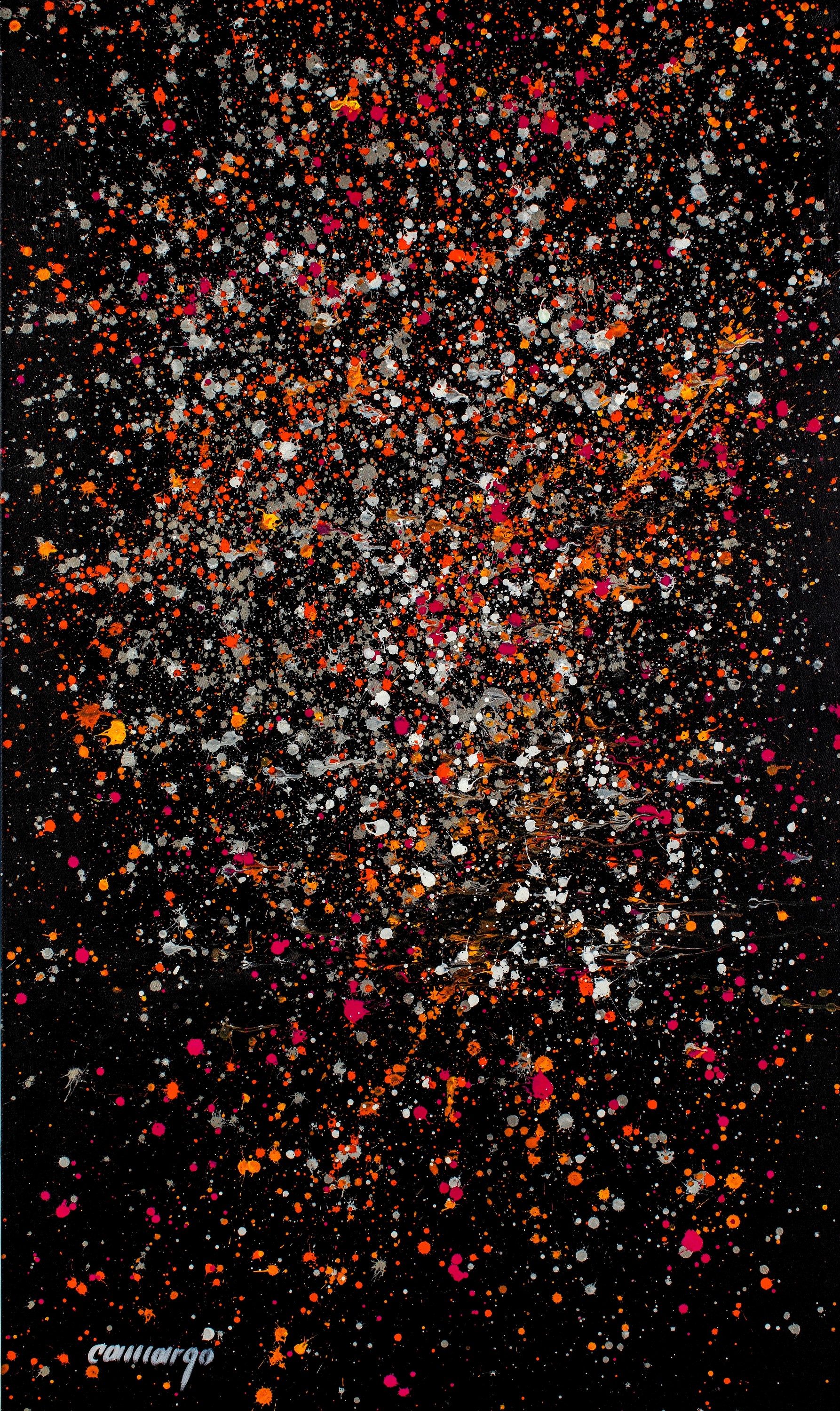Eduardo camargo the big bang pil8u8