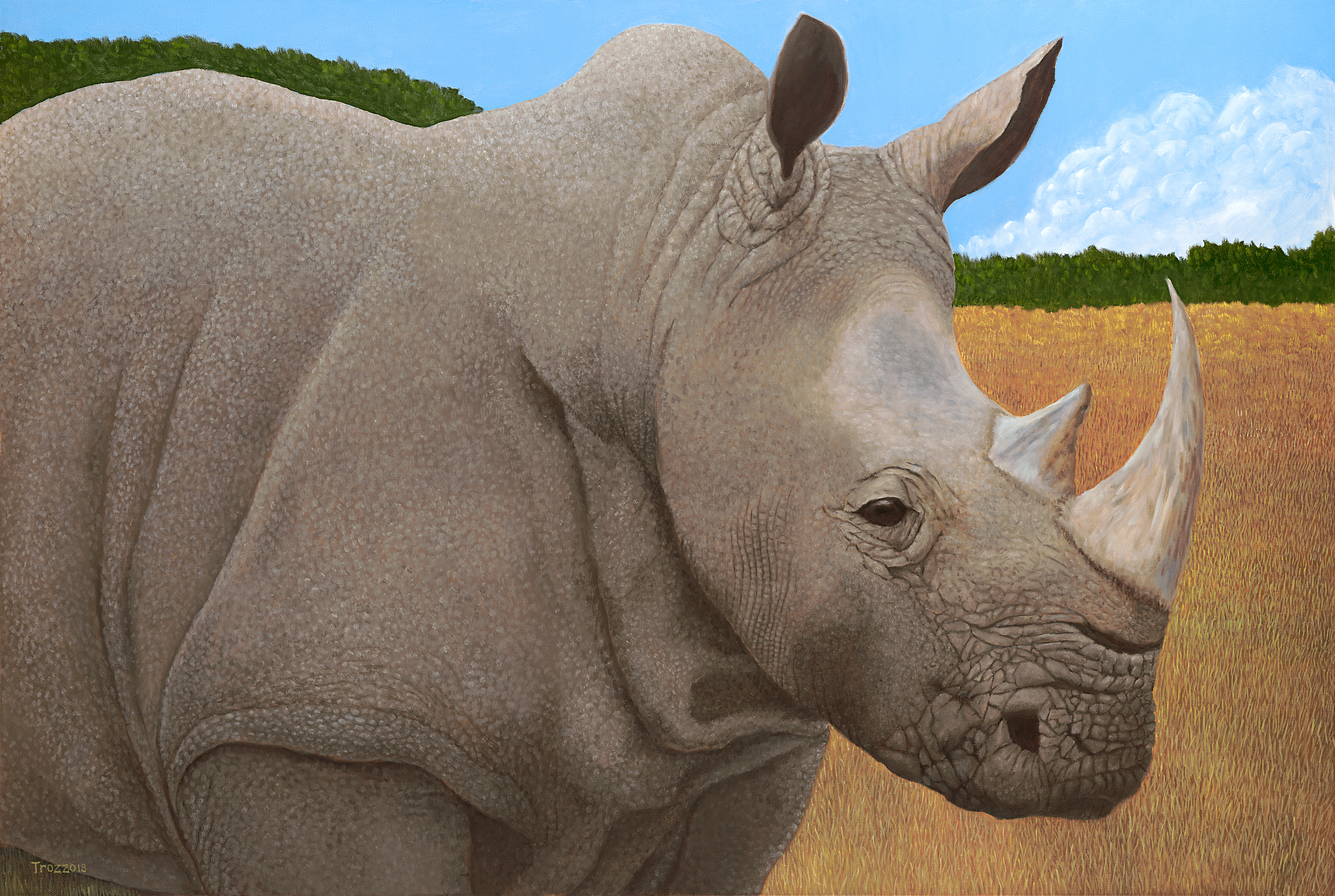 Rhino asf 150 fhlzqj