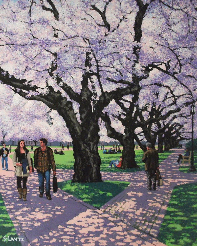 Lantz under cherry trees 1000 vvqiaf