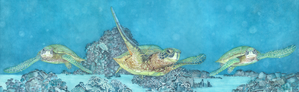 
        <div class='title'>
          Under SeaTurtles slider
        </div>
       
        <div class='description'>
          Sea Turtles enjoying a swim in tropical waters 
        </div>
      