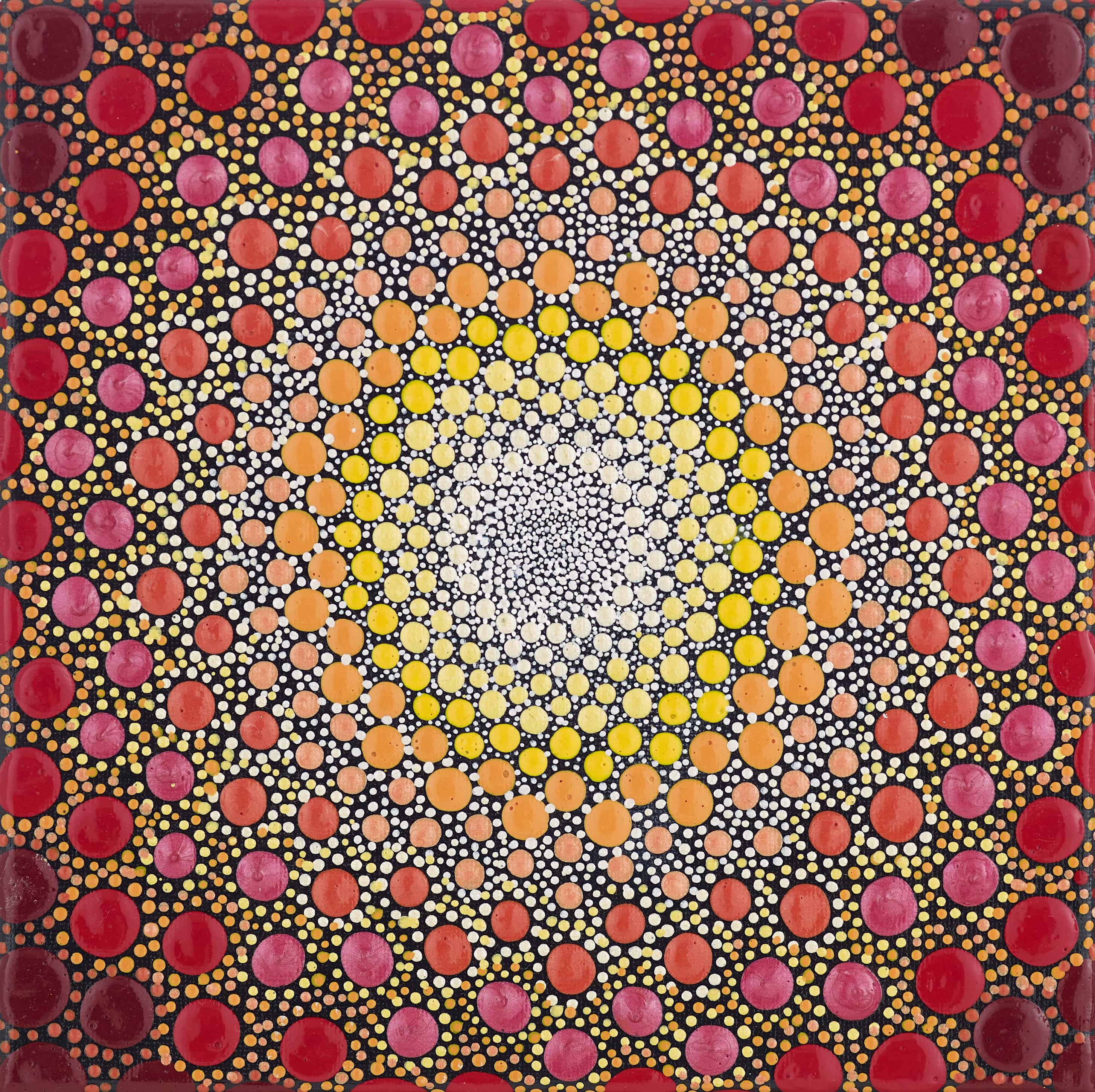 Sunflower burst min notzkv