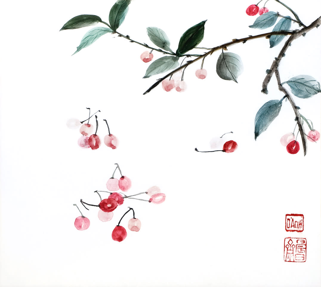 Cherries falling pur7fz