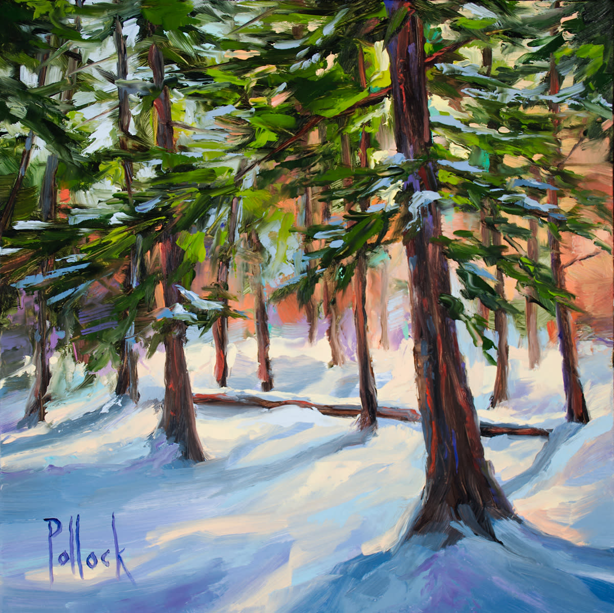 Study winter pines trace cfw78x
