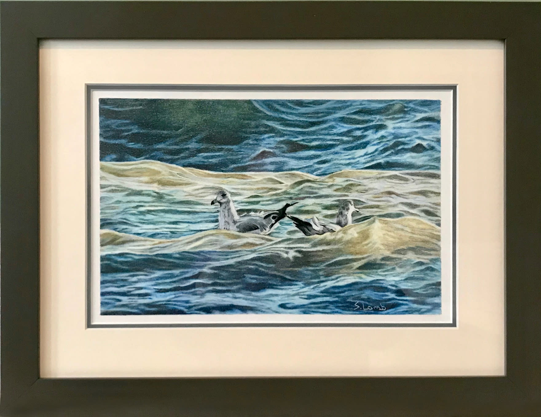 Gulls framed hrl5cl