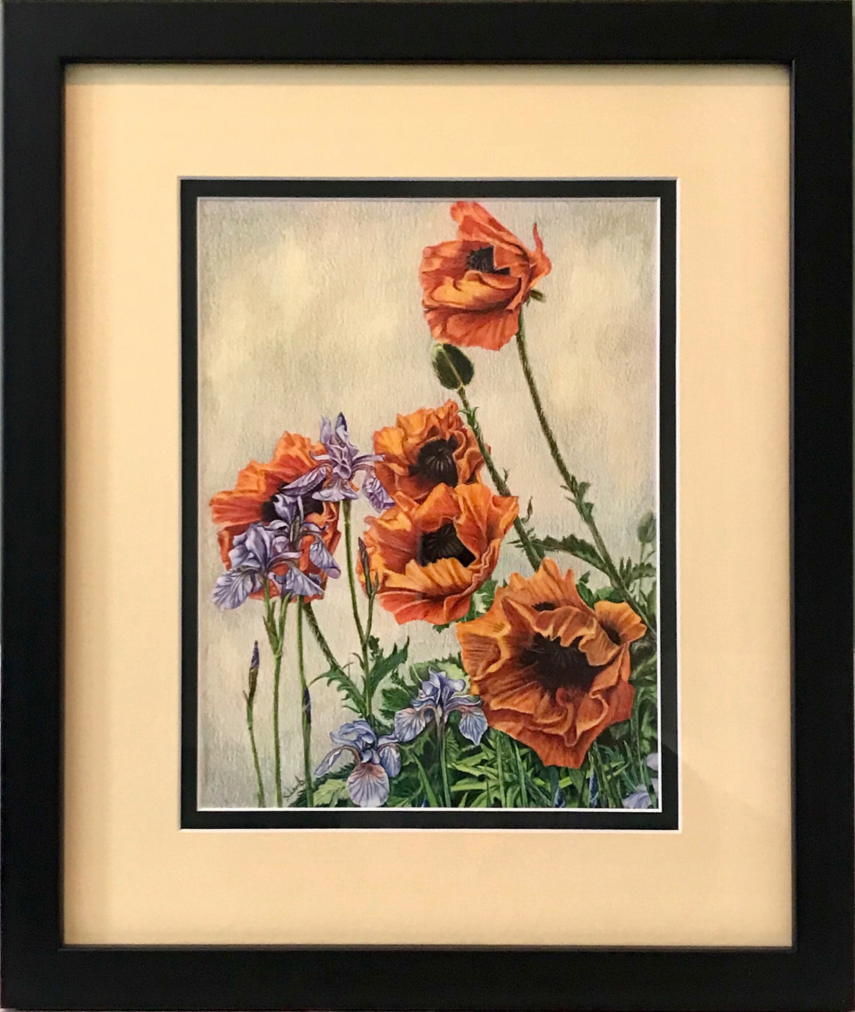 Poppies and irises framed fnci73