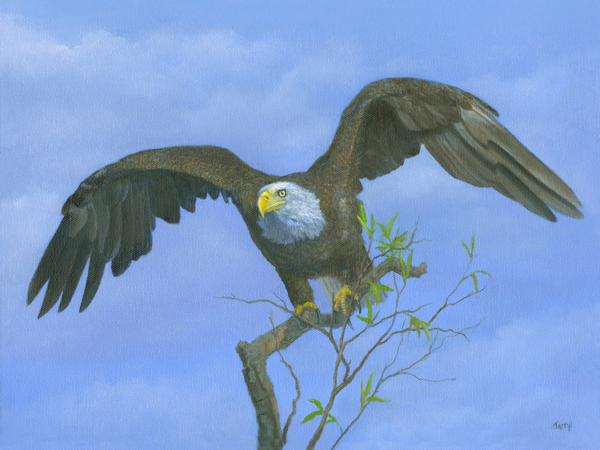 Eagle.timetohunt.0 pzgvgk