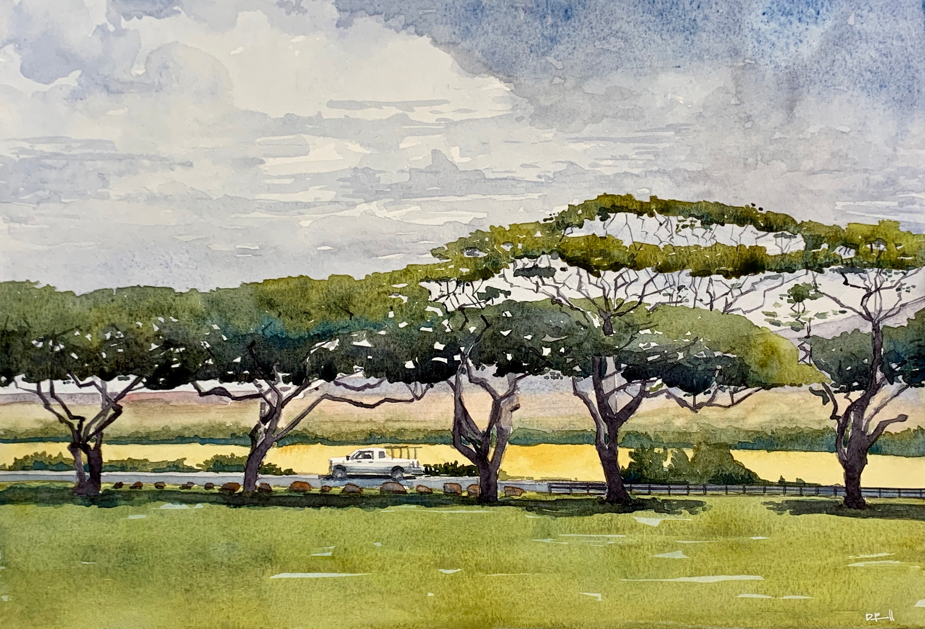 09 golden maui fields gswdrf