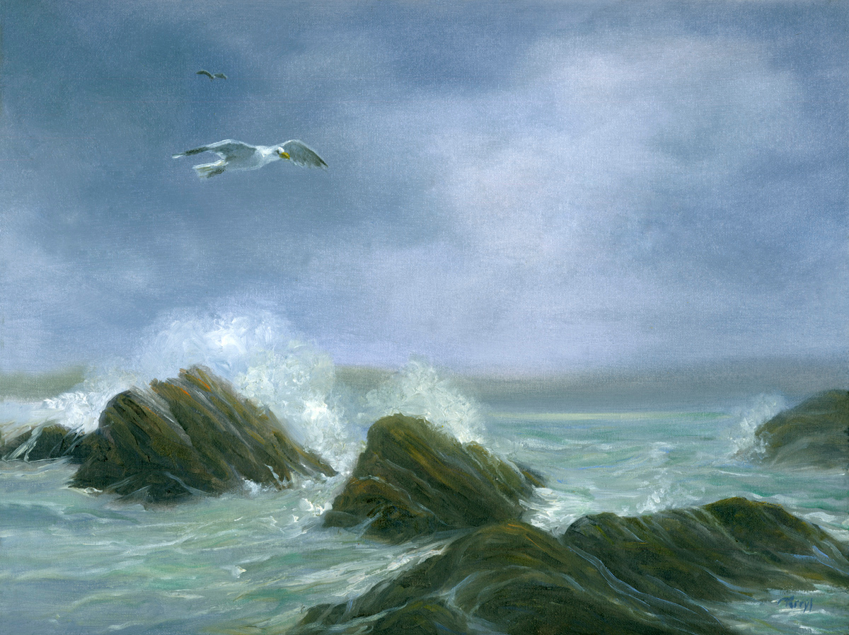 Wings of a storm.0 kjncsf