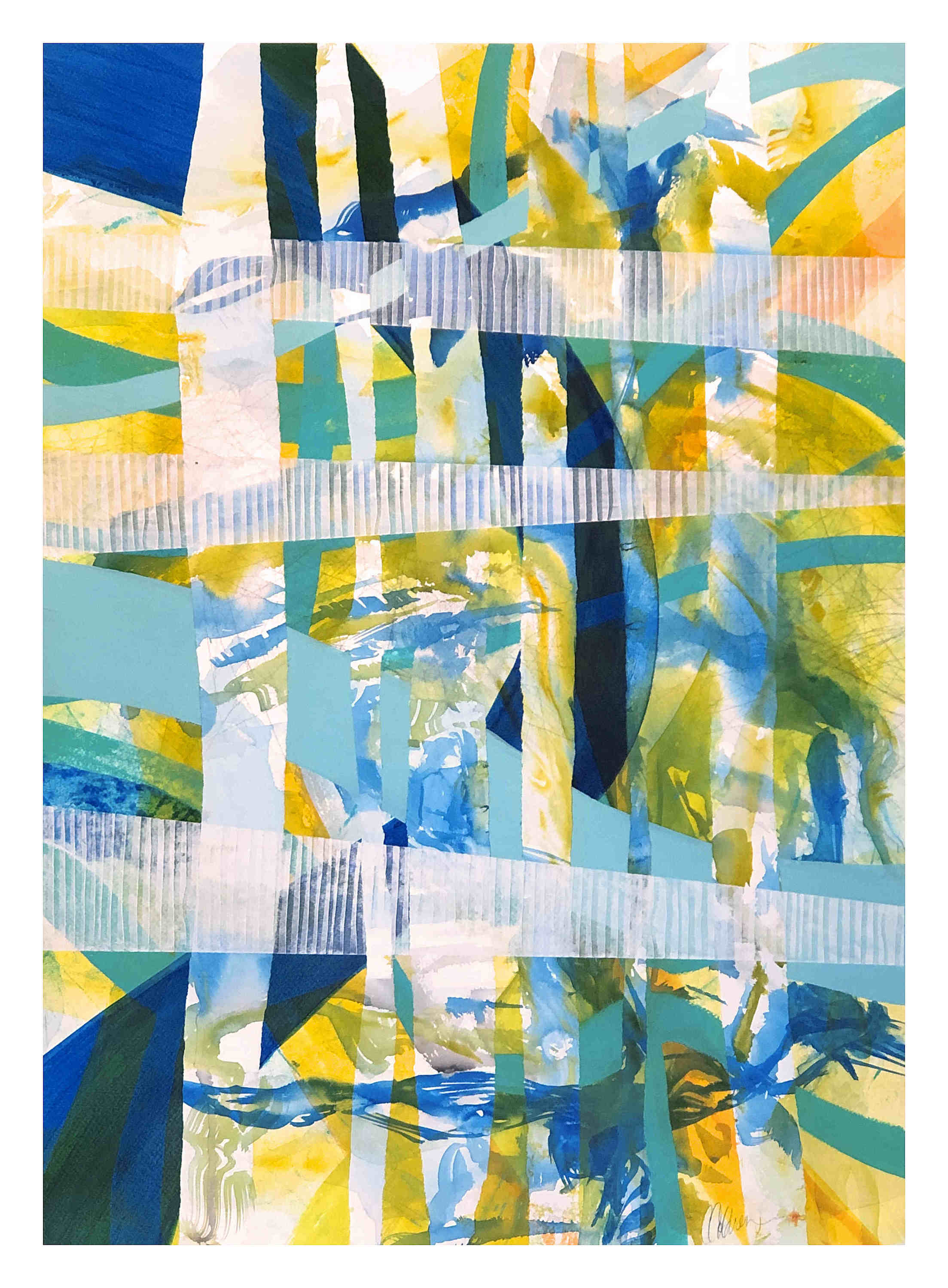 2019 163 seagrass qimndz