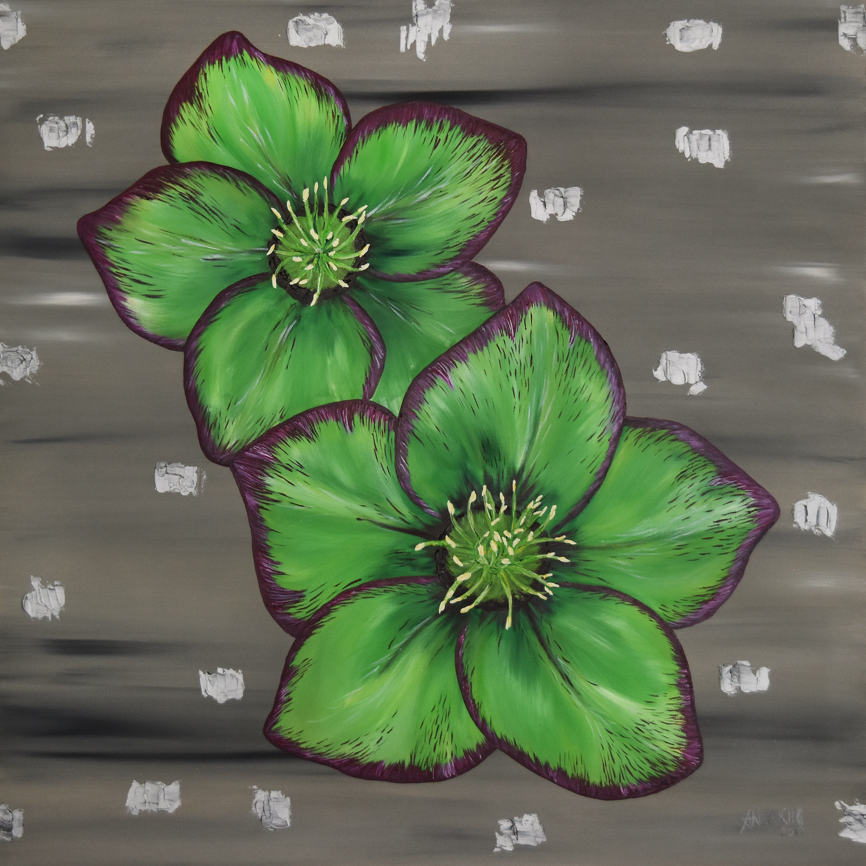 Hellebore x8f0nk