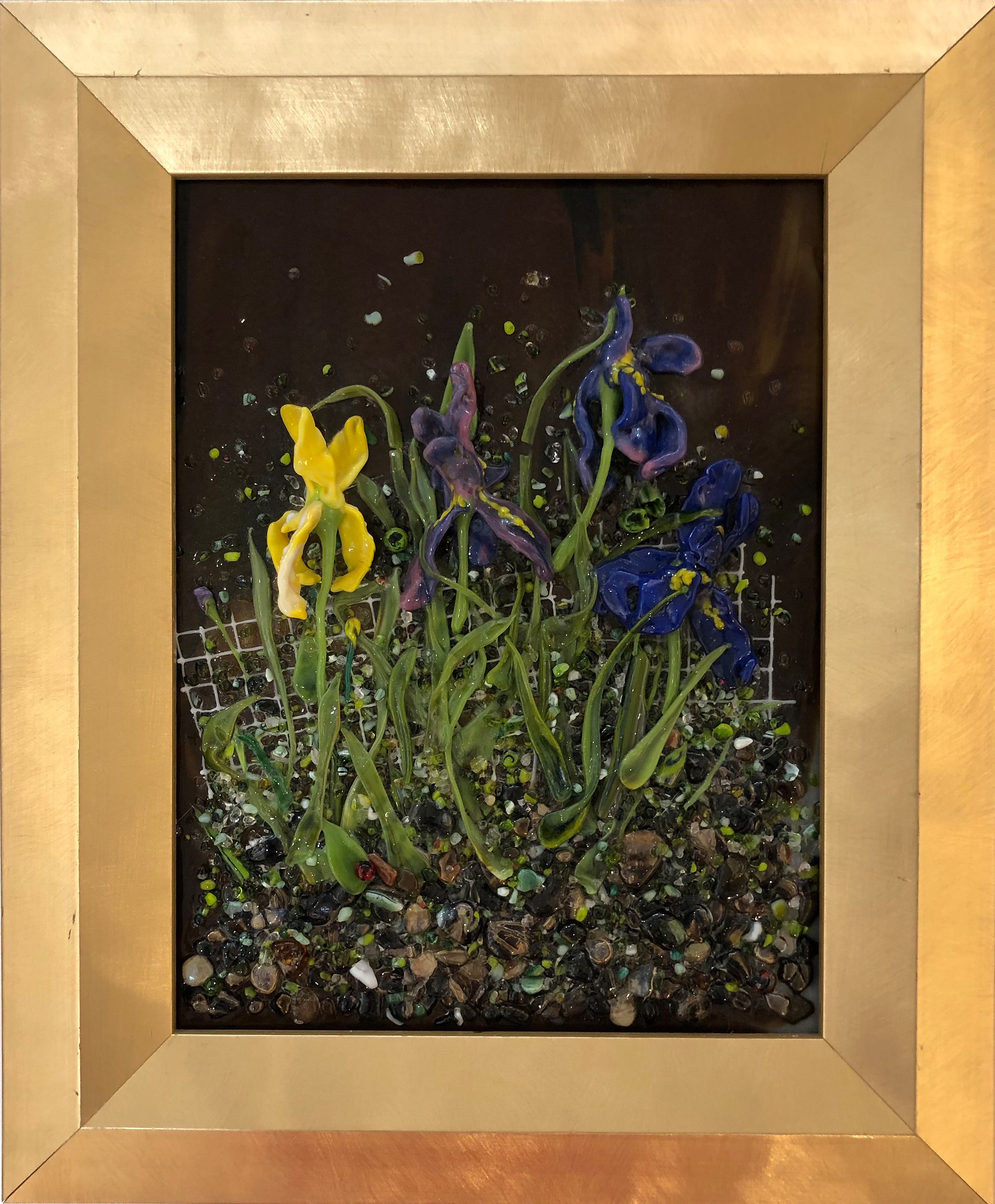 Iris garden lcaso2