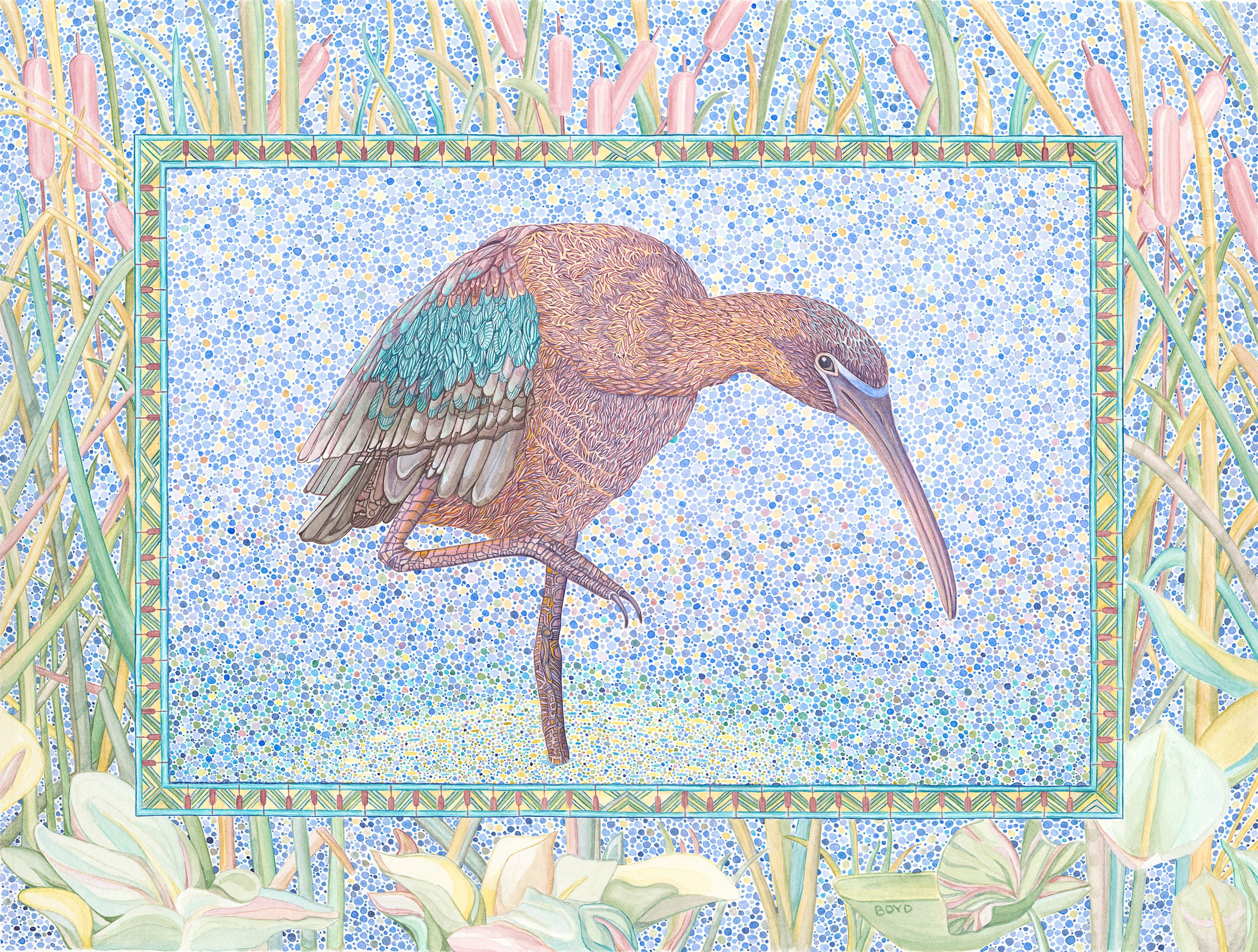 Glossy ibis 300ppi duwsmz