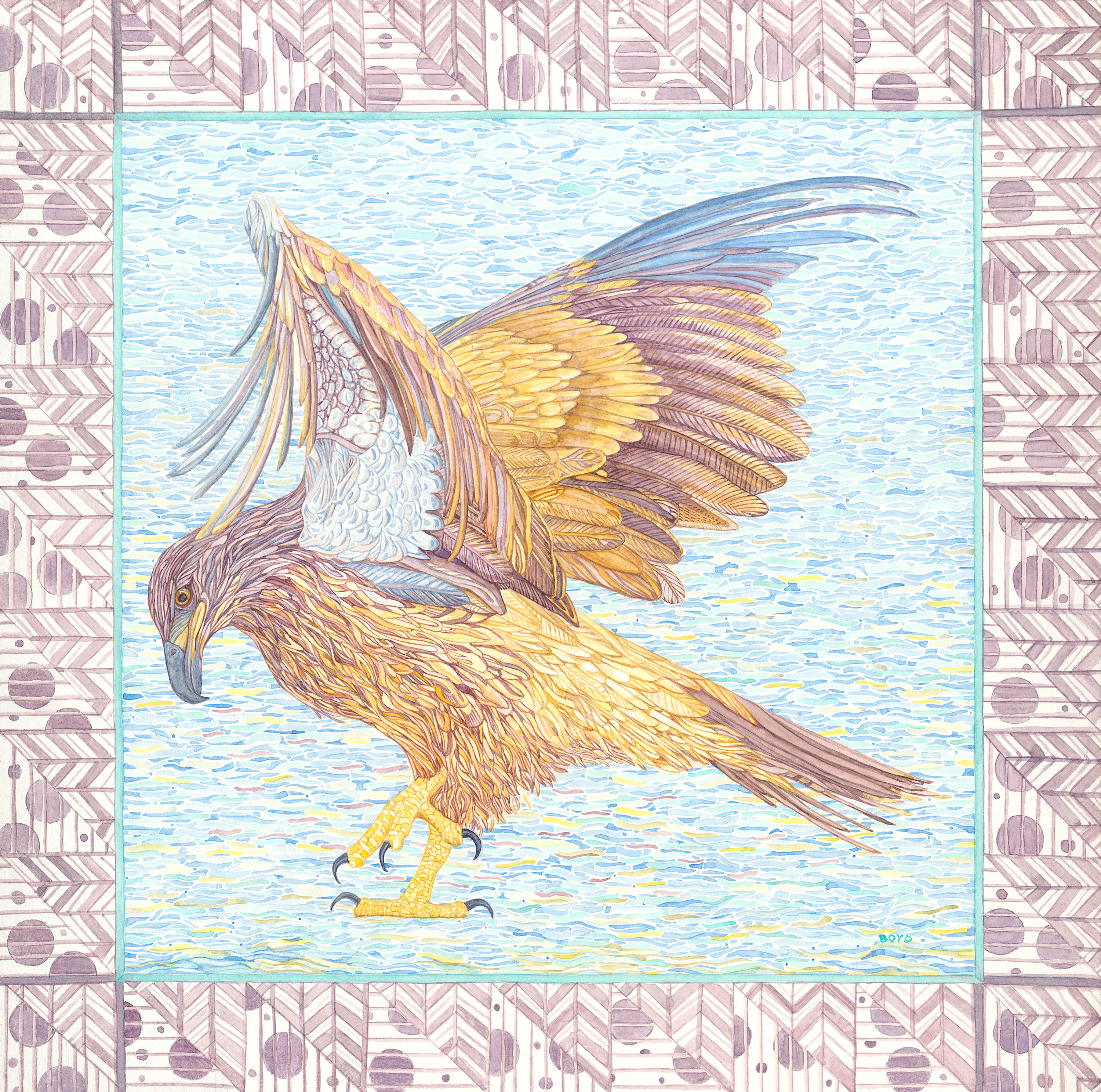 Bald eagle 300ppi vsol08