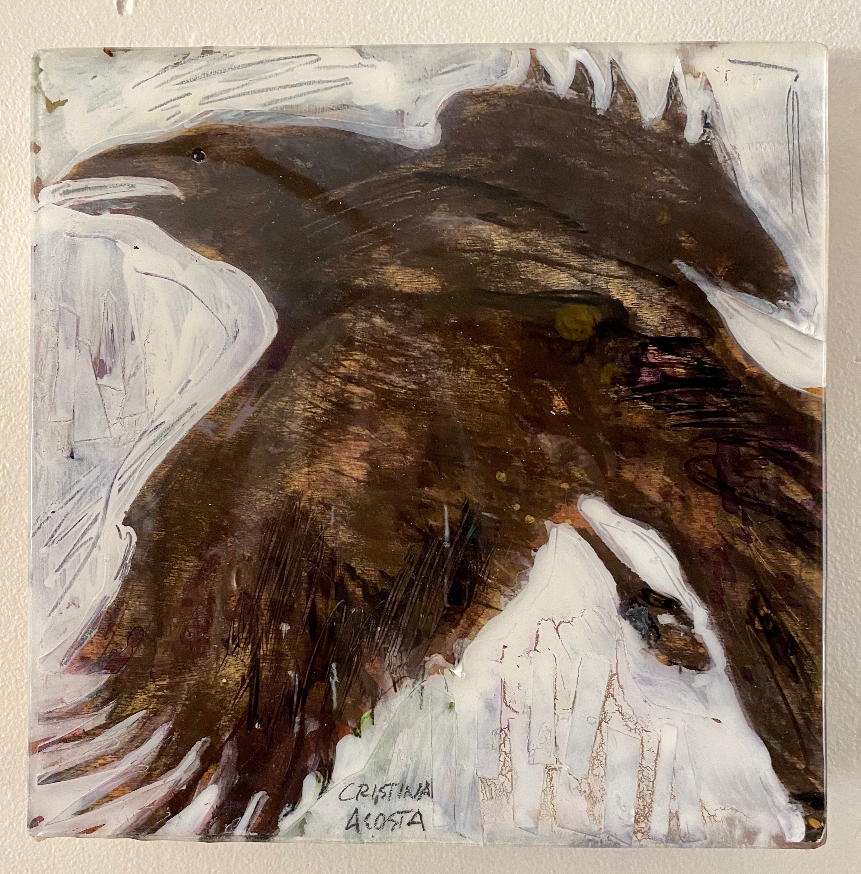 Raven 1 bu3cwu