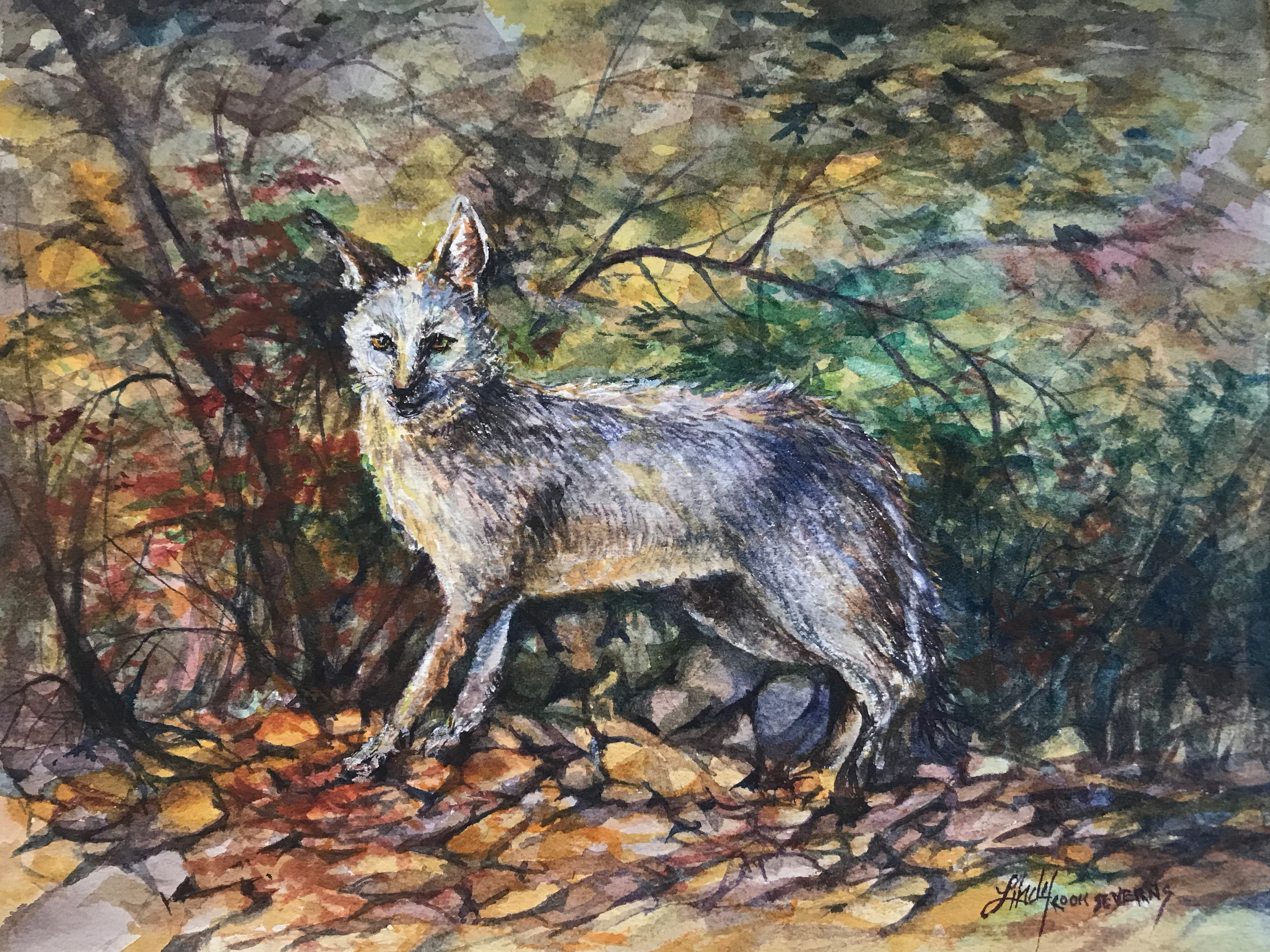 Fox fall 8x10 watercolor lindy cook severns zw3br1