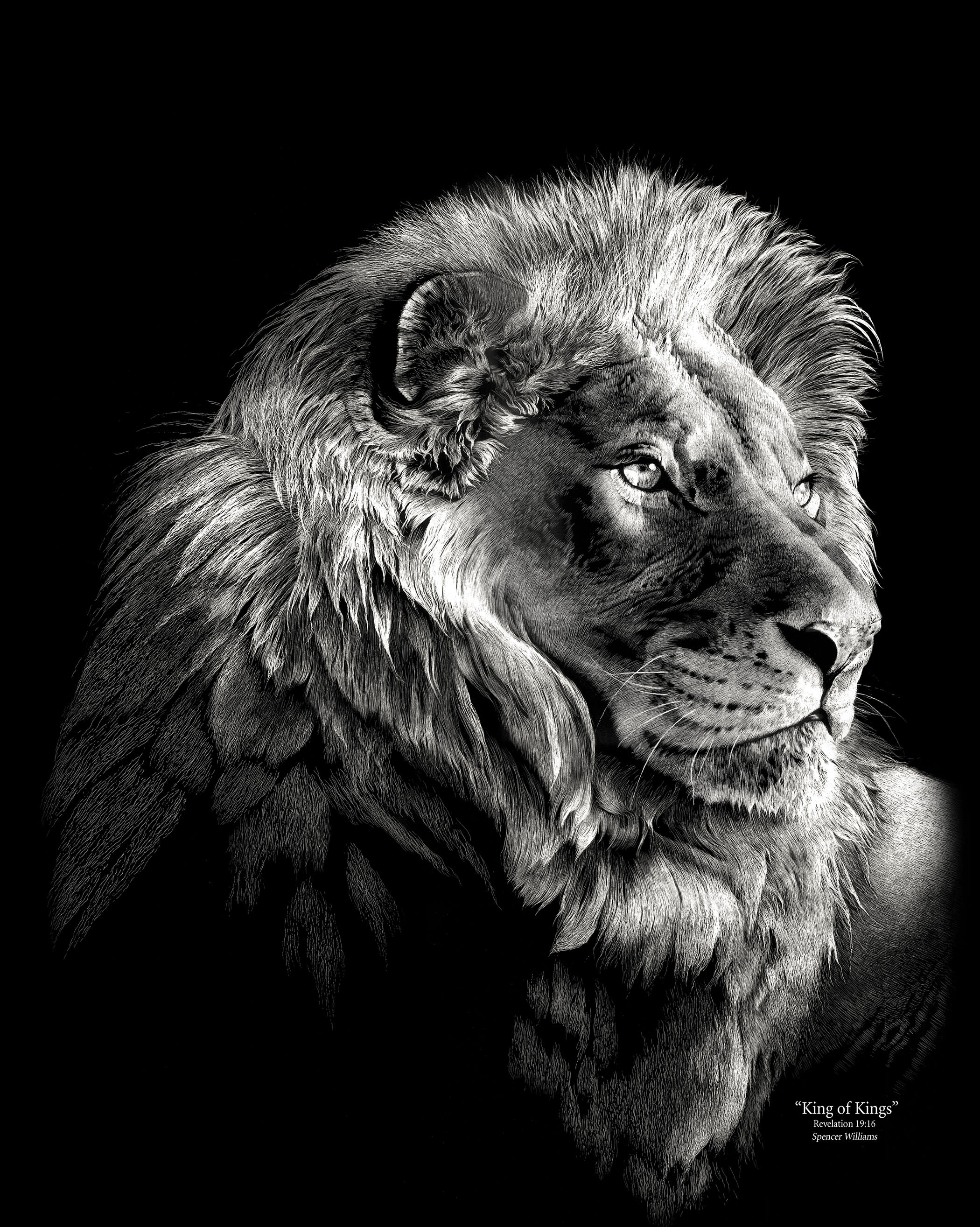 scratch board lion art