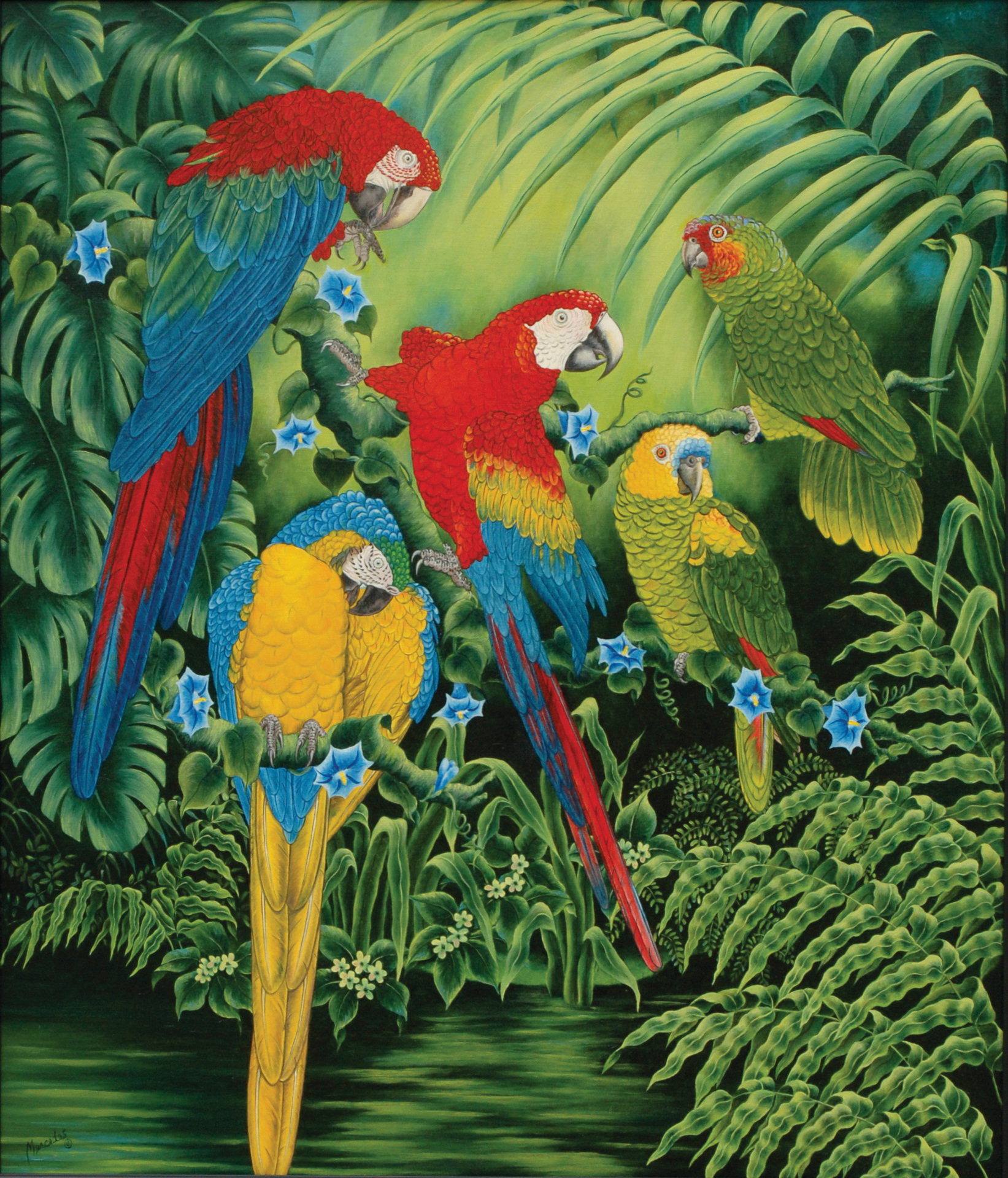 Parrots 72dp 1920pxh lfp7sd