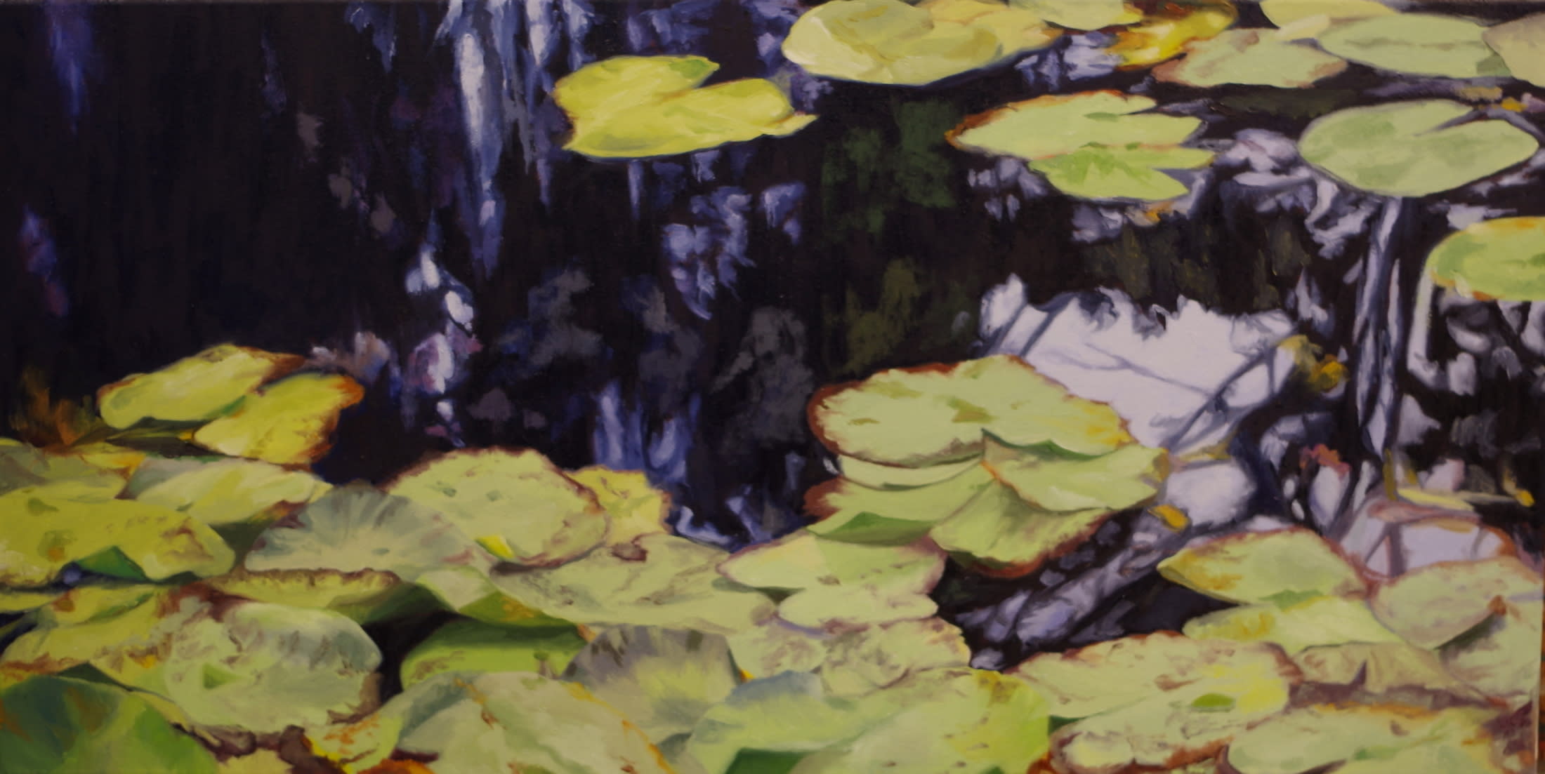 Water lilies in france hpcj1m