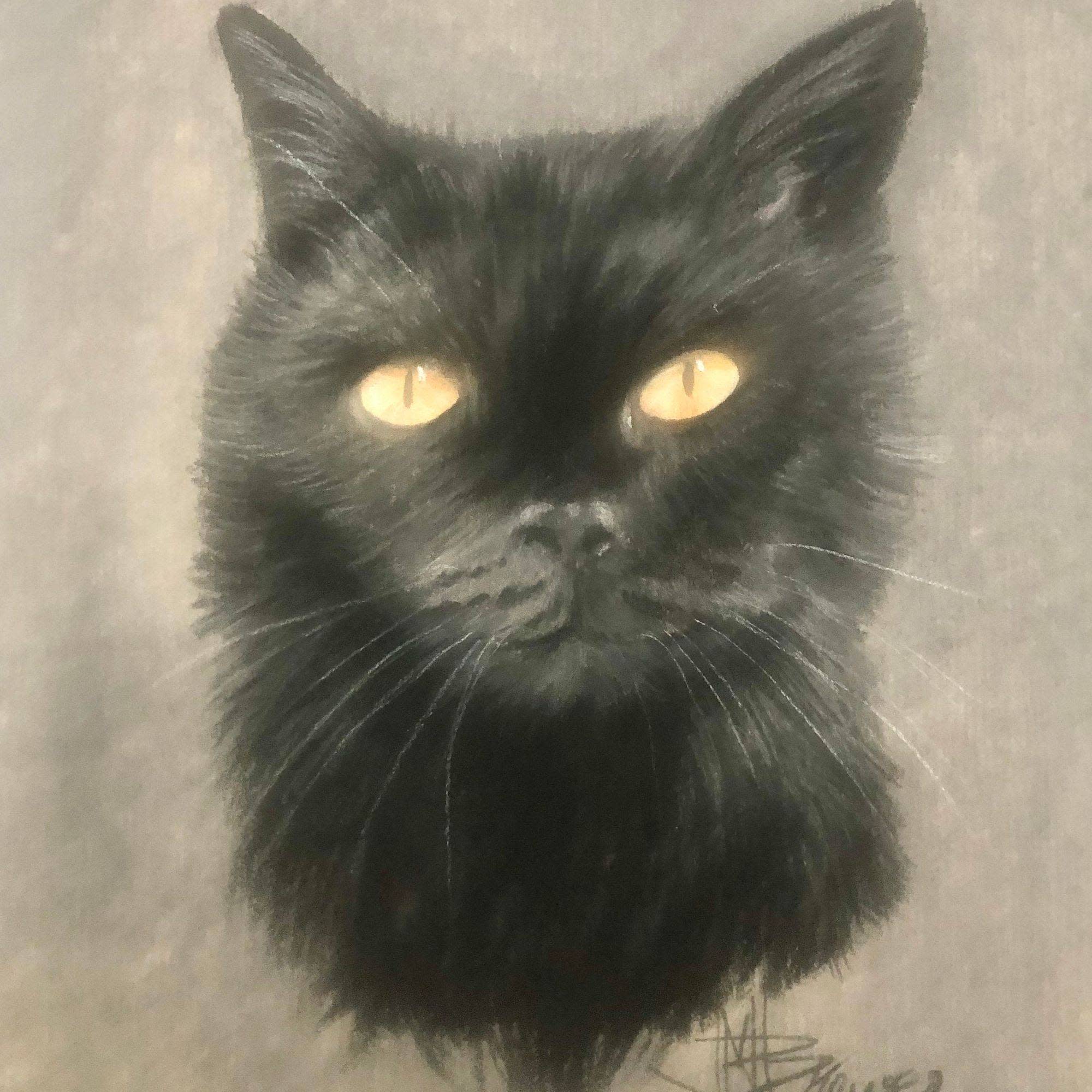 Black cat portrait smhmen