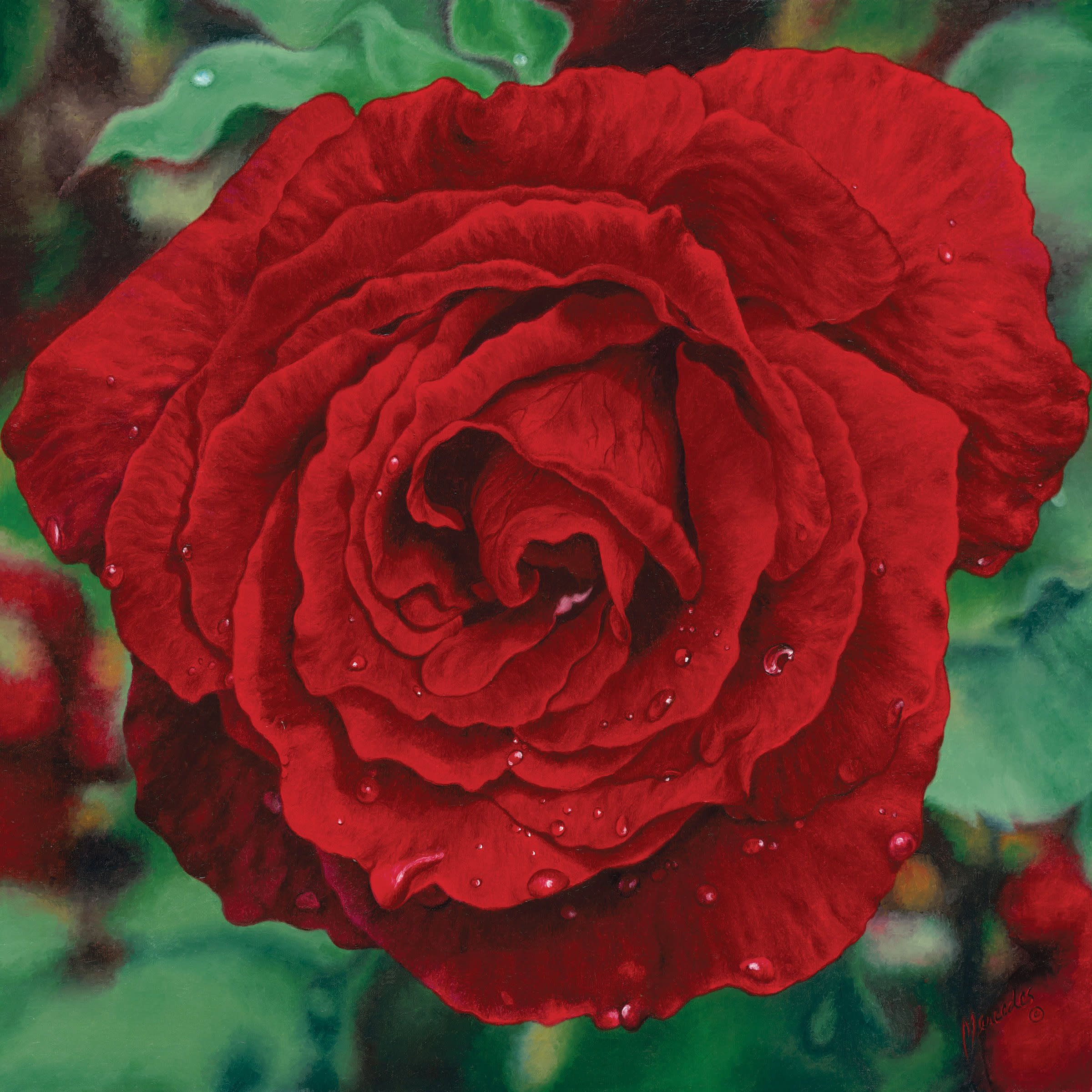 Red rose  image only changed to rgb yivno1