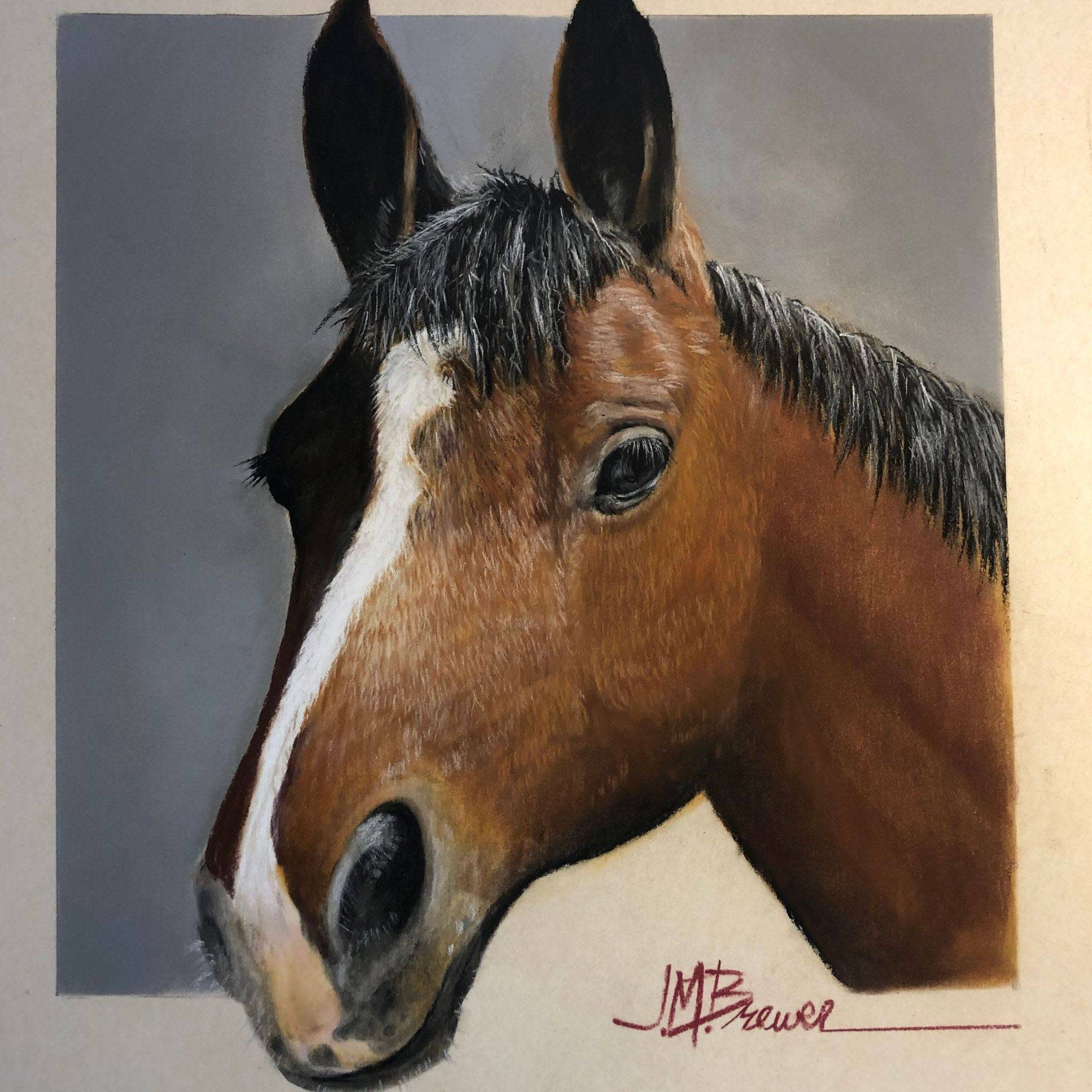 Jason horse ducfhy