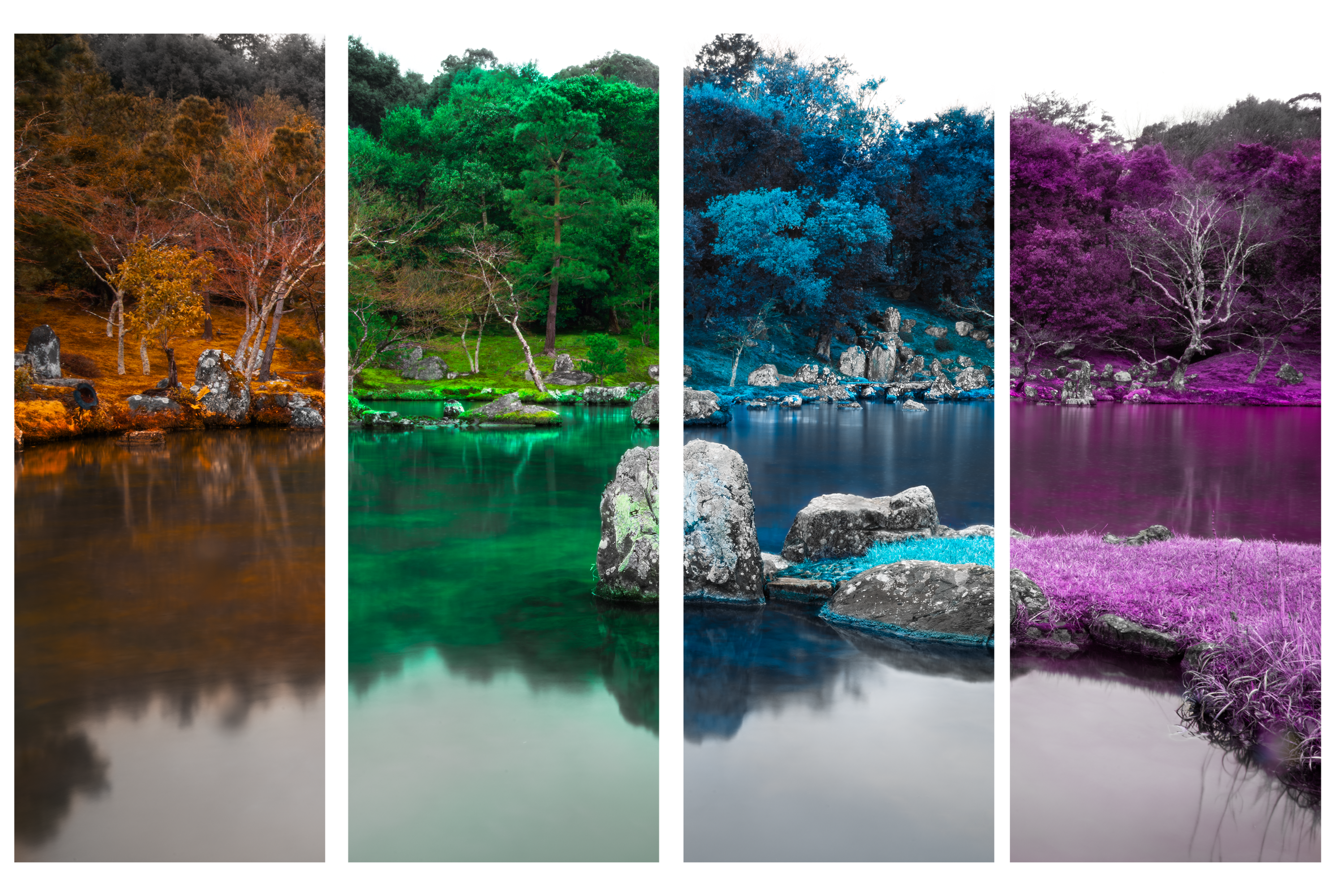 Zen seasons in technicolor 6 separated png smaller mi8fhm