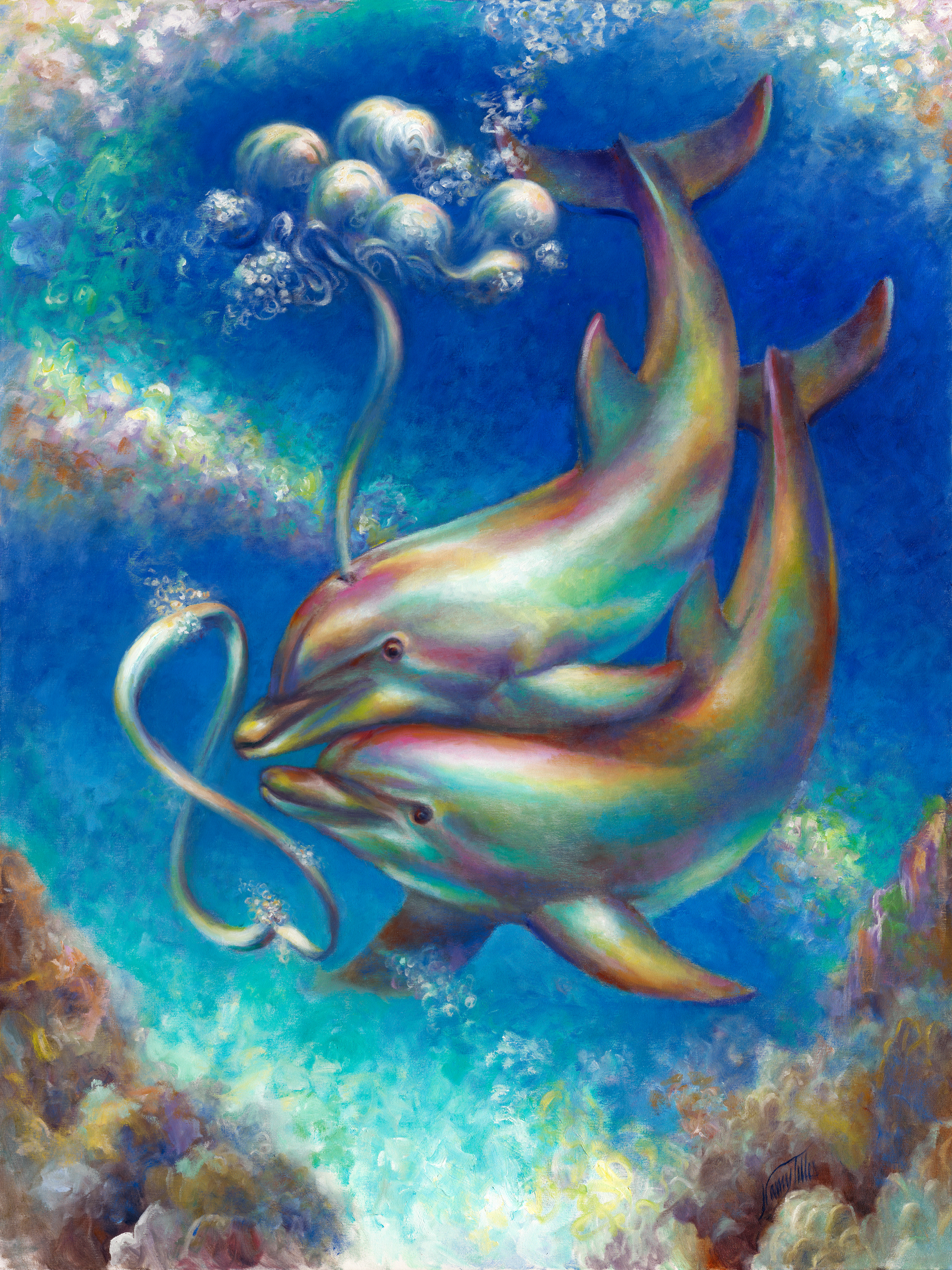 212 infinity dolphins at play amal8z