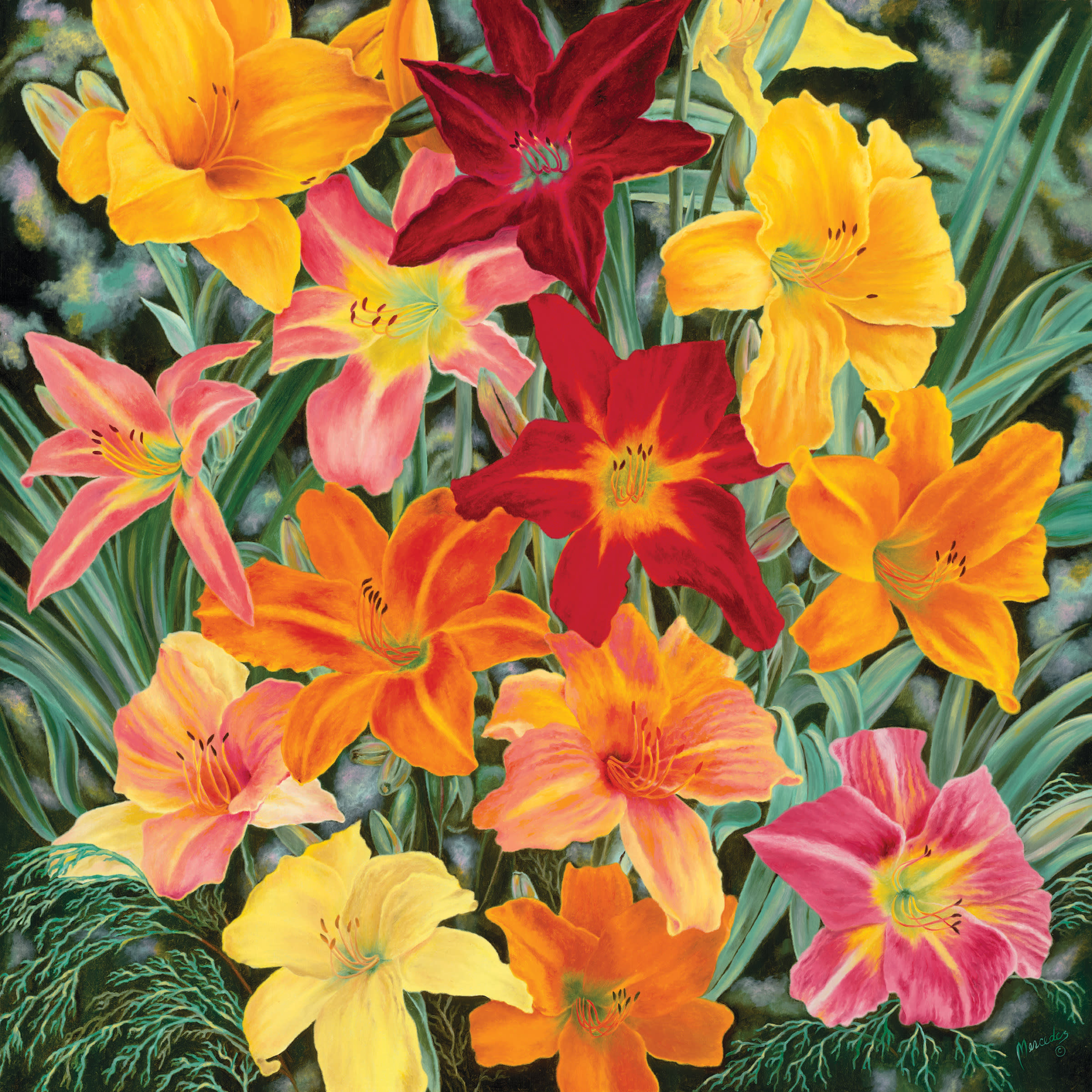 Daylillies  image only ev3m0v