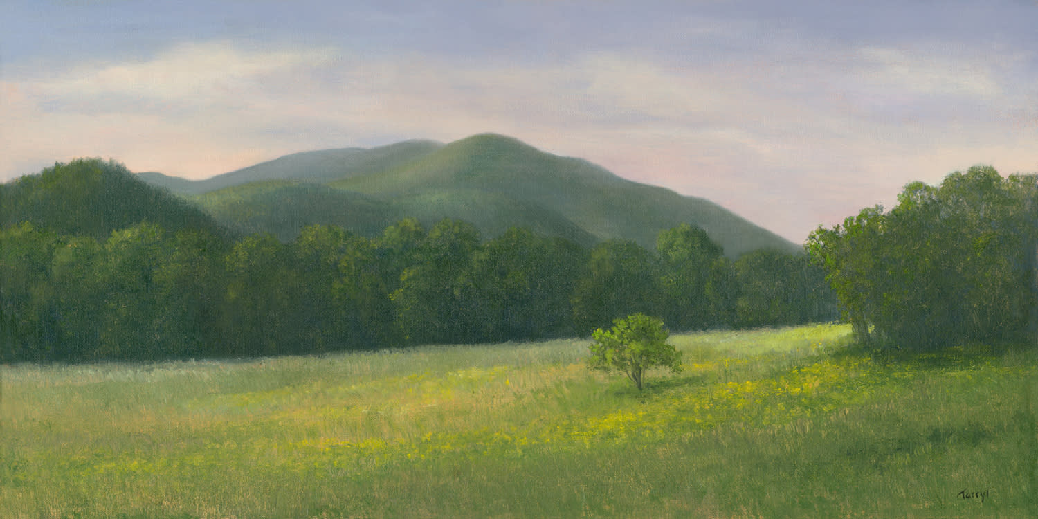 Heavenly hill 10x20 bakfc2