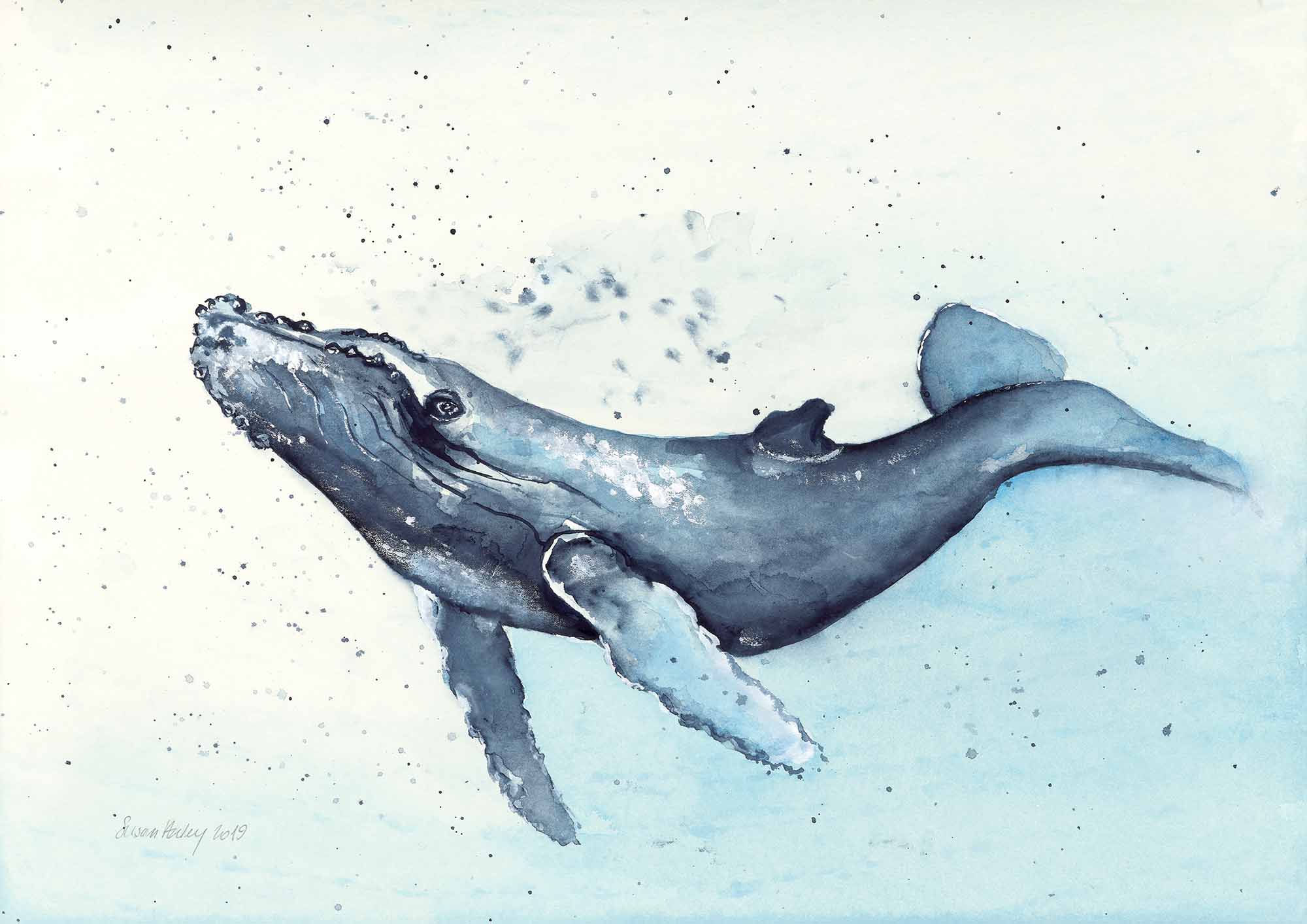 Susan haley 006 dance of the humpback 2000px xlukpu