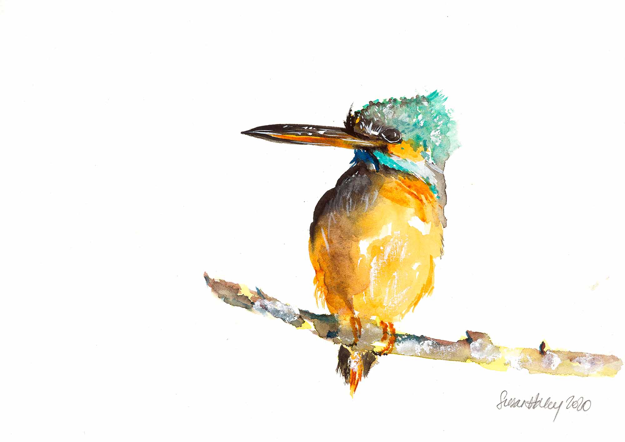 Susan haley 005 kingfisher 2000px nx8329