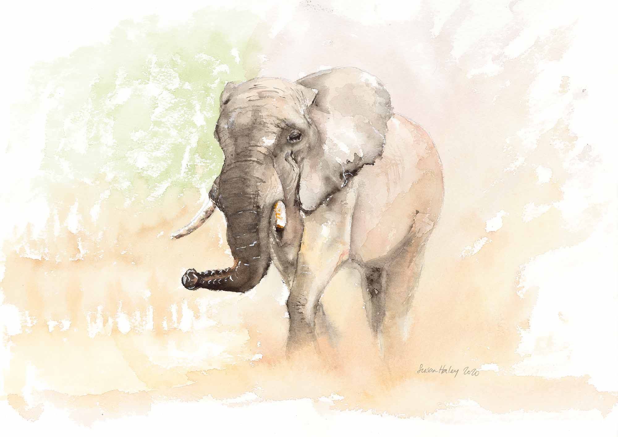 Susan haley 007 old girl 2000px hjyjmr