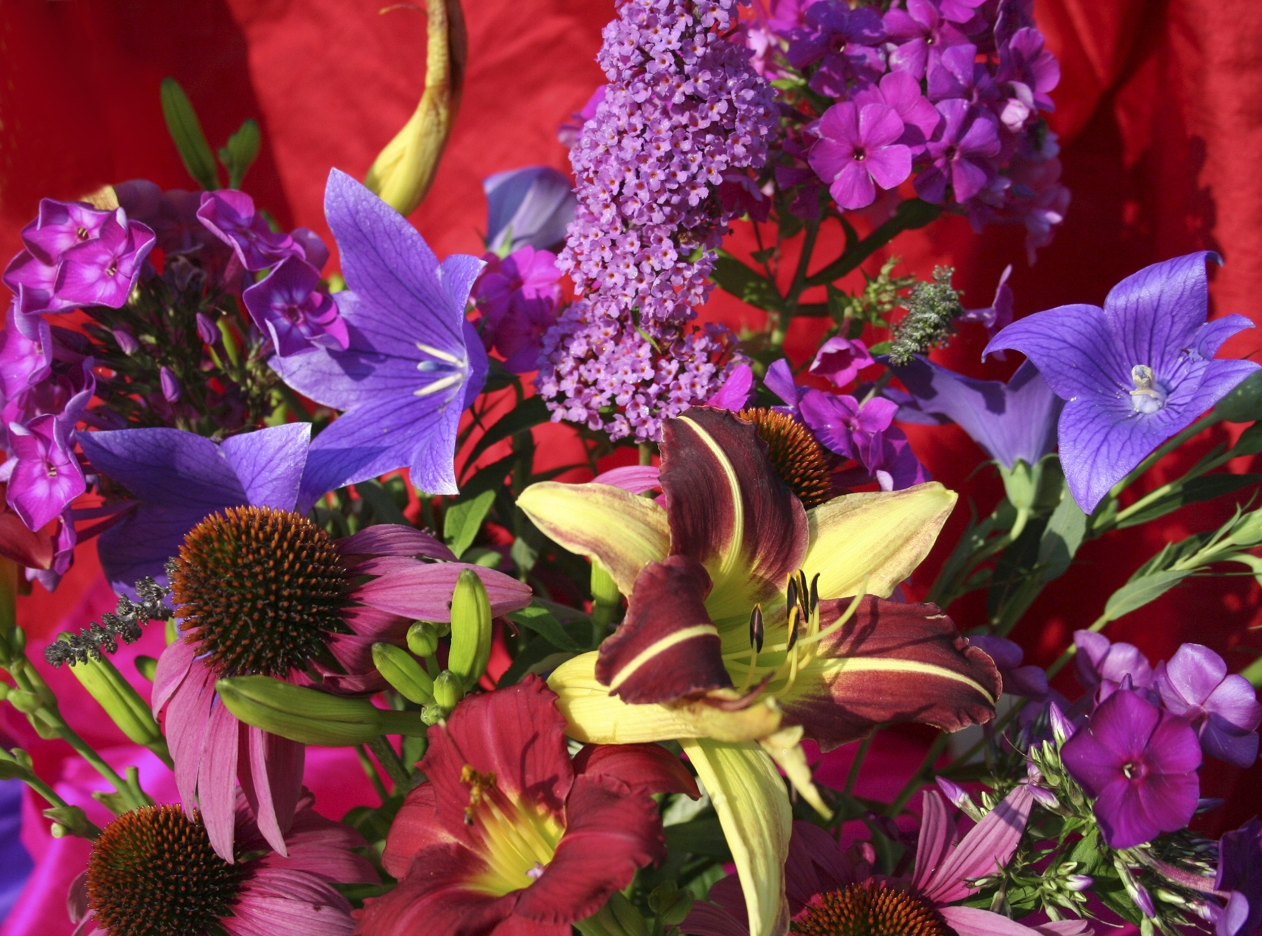 Gardensglory resized zwfptv