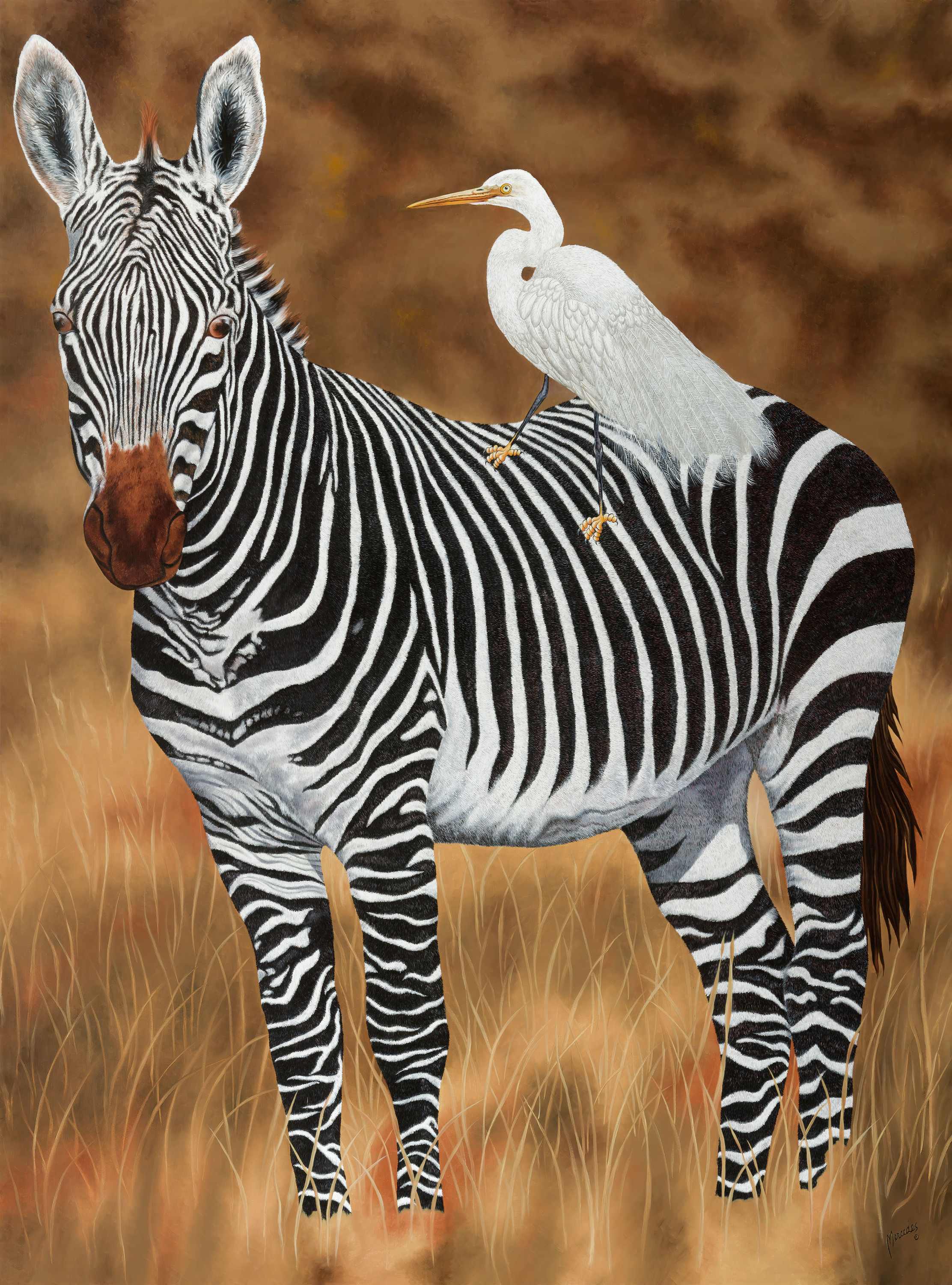 Zebra and egret stitched x3 sized 36 x 26 sharpen  1 small file under 20 mb guiavy